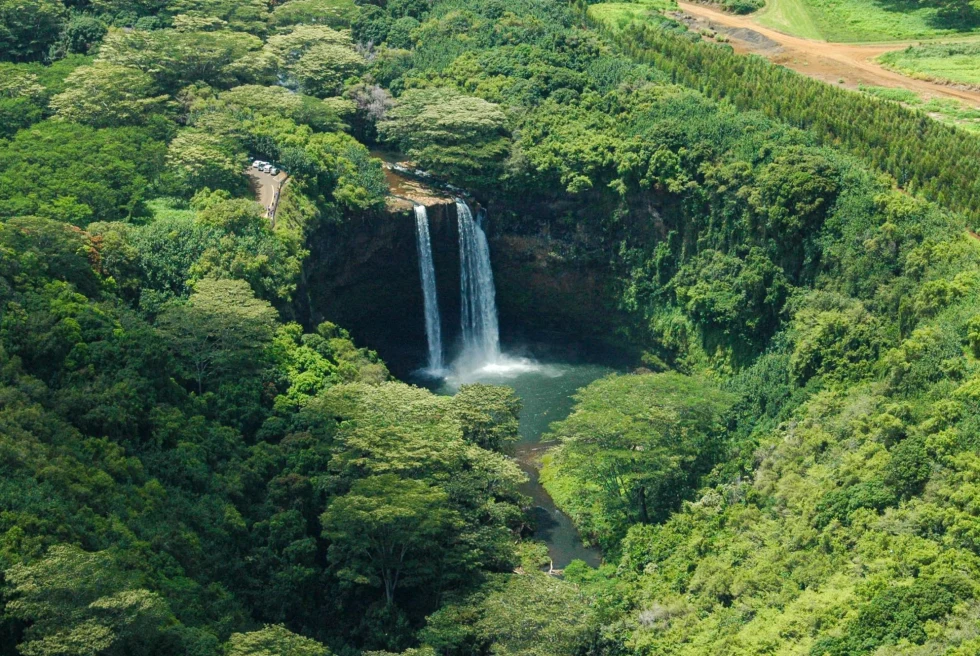 waterfall in jungle