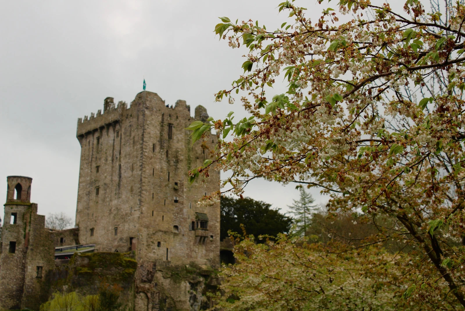 At the top of the castle lies the Blarney Stone.