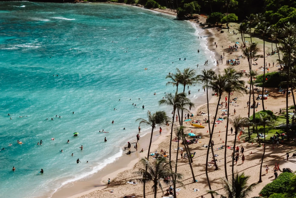 aerial view of a beach dotted with people and palm trees