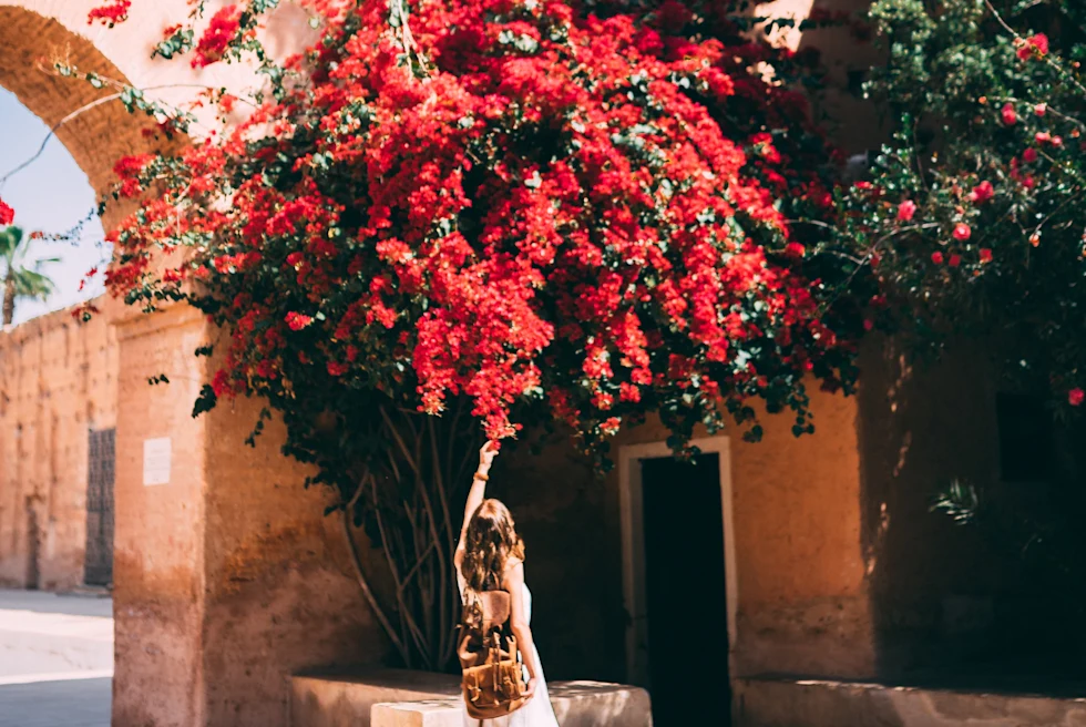 Trees with red flowers