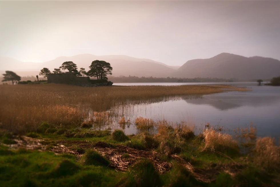 pristine lake in the Irish countryside at sunrise