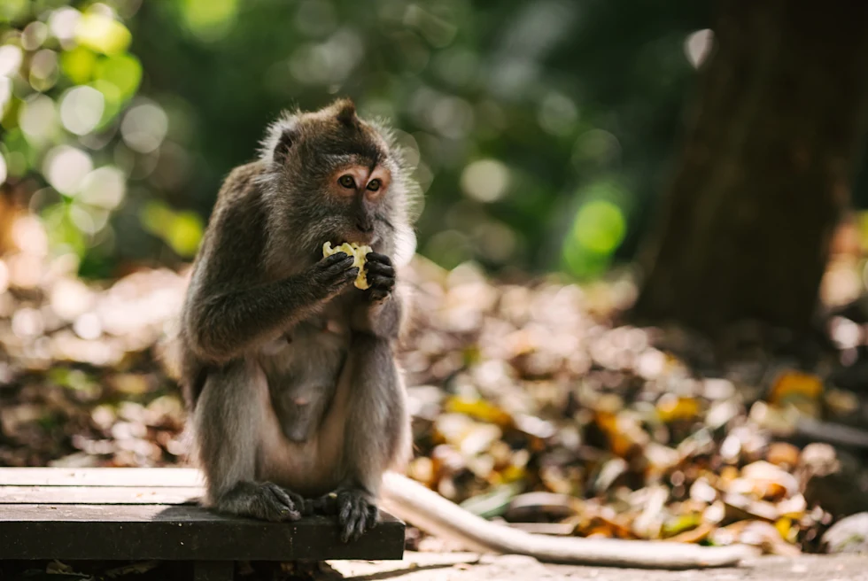 Money sitting and eating during daytime
