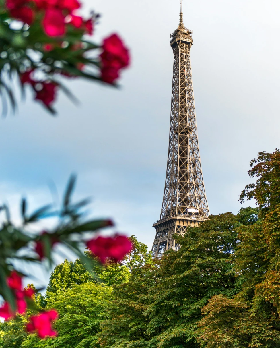 A low-angled photo of the Eiffel Tower behind red flowers as seen from one of the best arrondissements to stay in Paris.