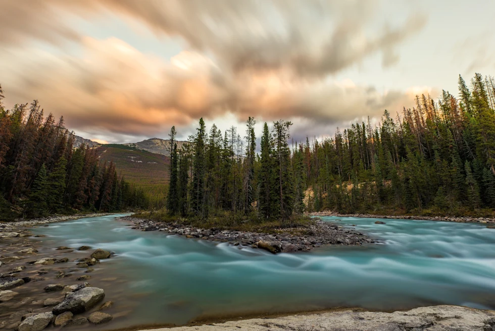 Nature with a river and trees in Canada.