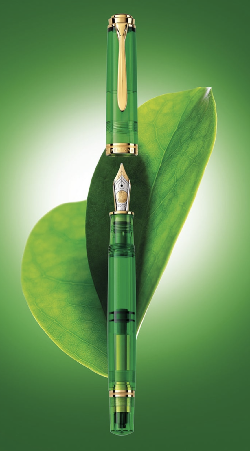 Pelikan Souveran M800 Demonstrator