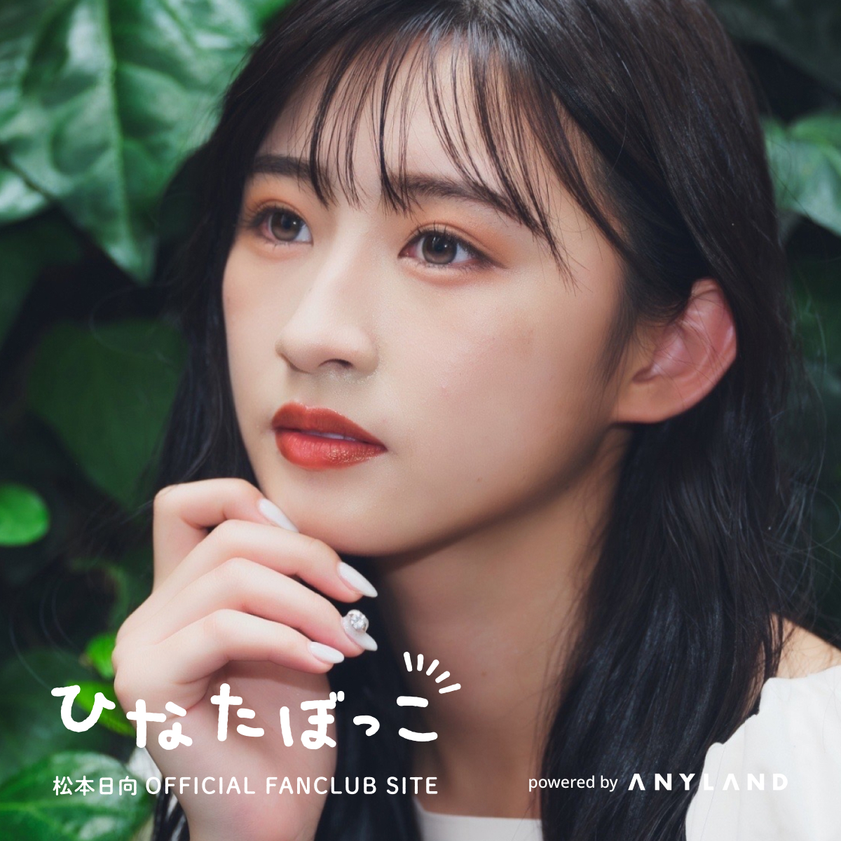 バレンタインチェキ予約販売開始のお知らせ🍫✨ | ひなたぼっこ