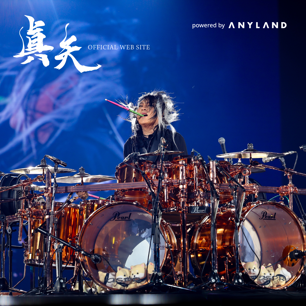 真矢 OFFICIAL WEB SITE
