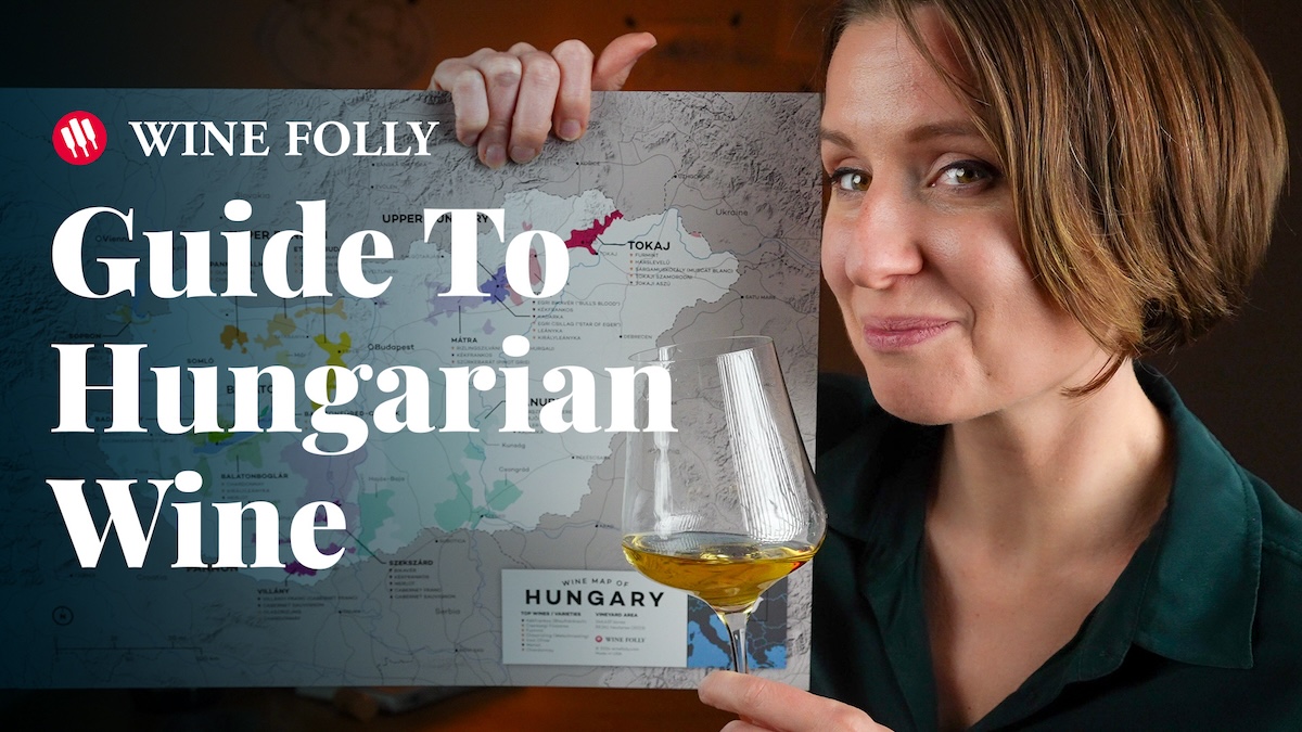 Guide to Hungarian Wine