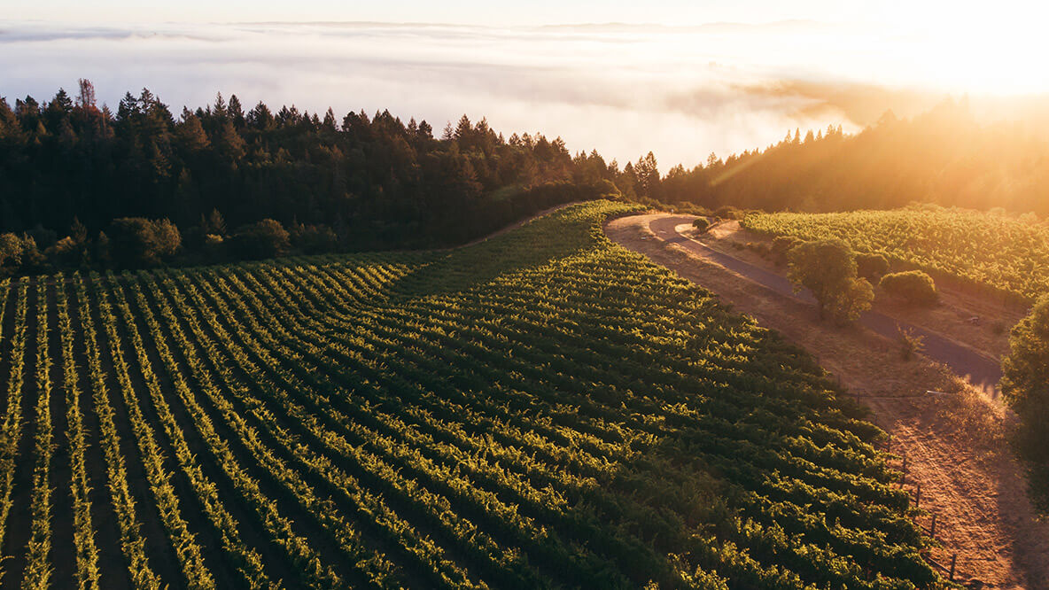 Howell shop mountain wineries