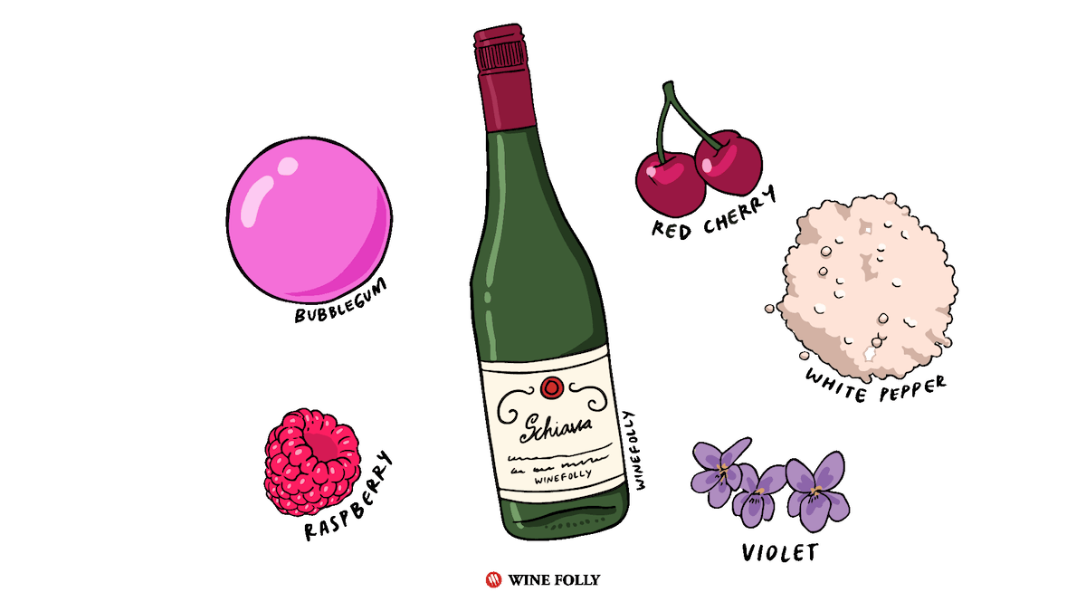 Alto Adige Schiava Wines | Wine Folly