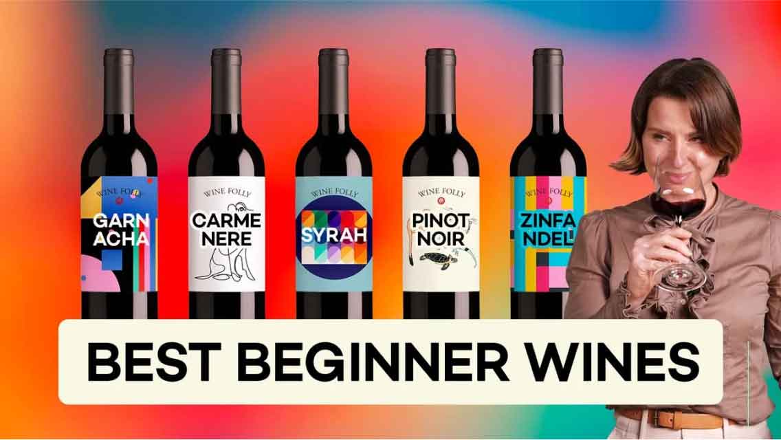 The 5 Best Red Wines For Beginners