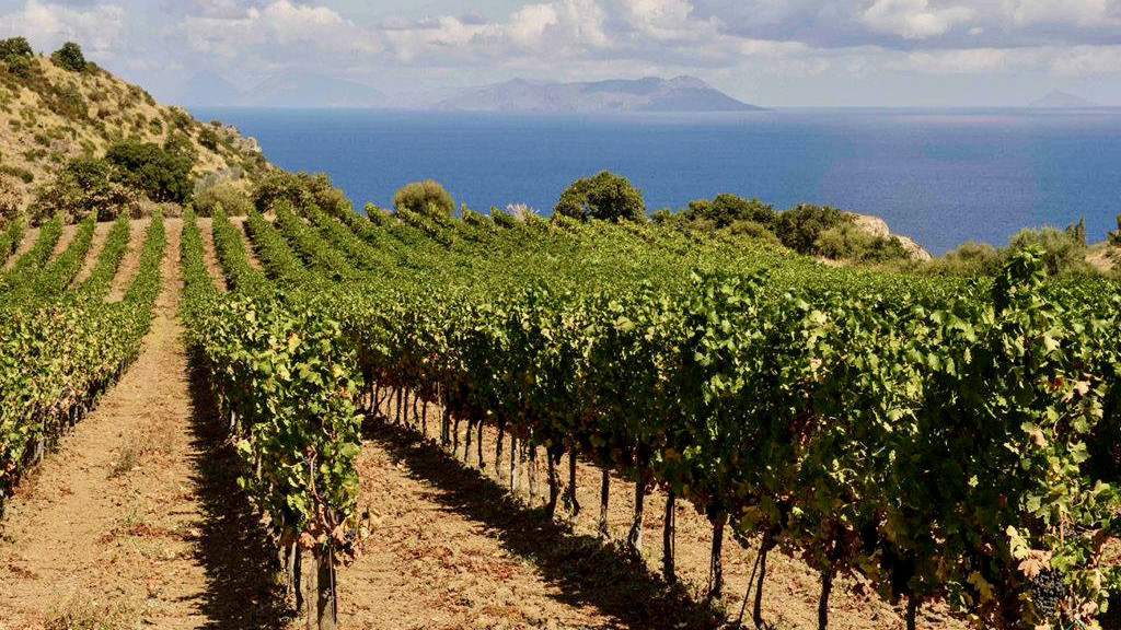 LE VRAI MARSALA DE SICILE D.O.C. NATURE