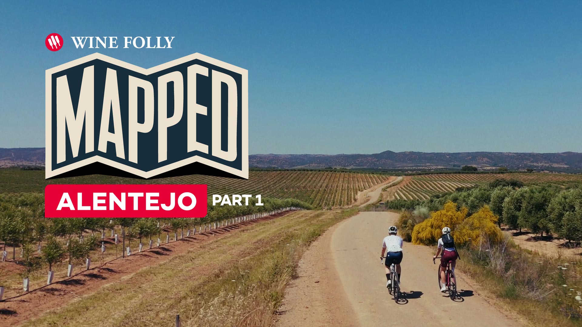 Cover Image for The Grapes Putting Alentejo on the Map