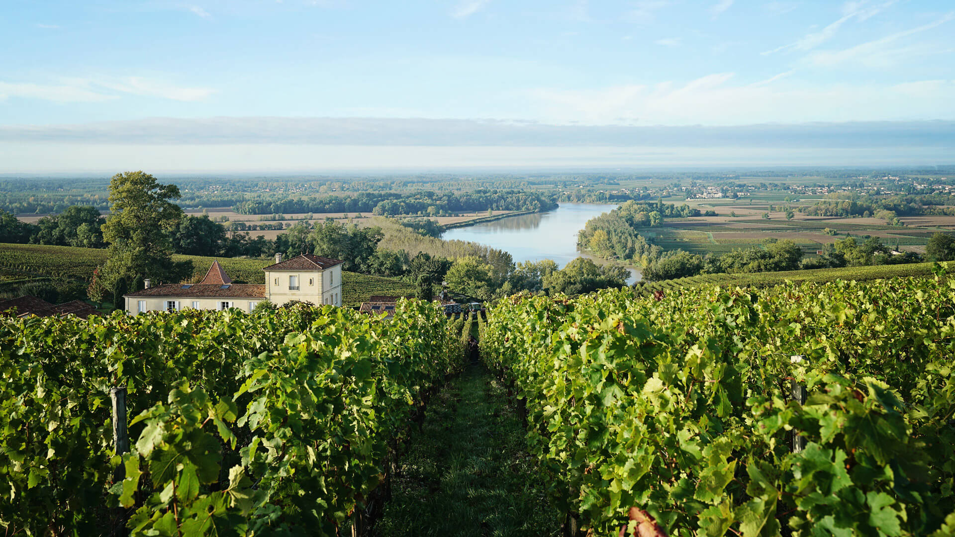 Château Grand Médoc Cover Image