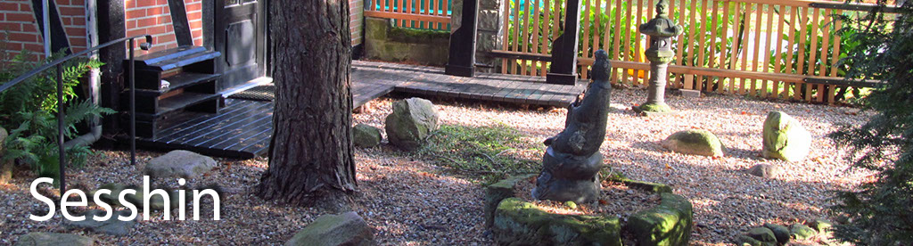 Sesshin