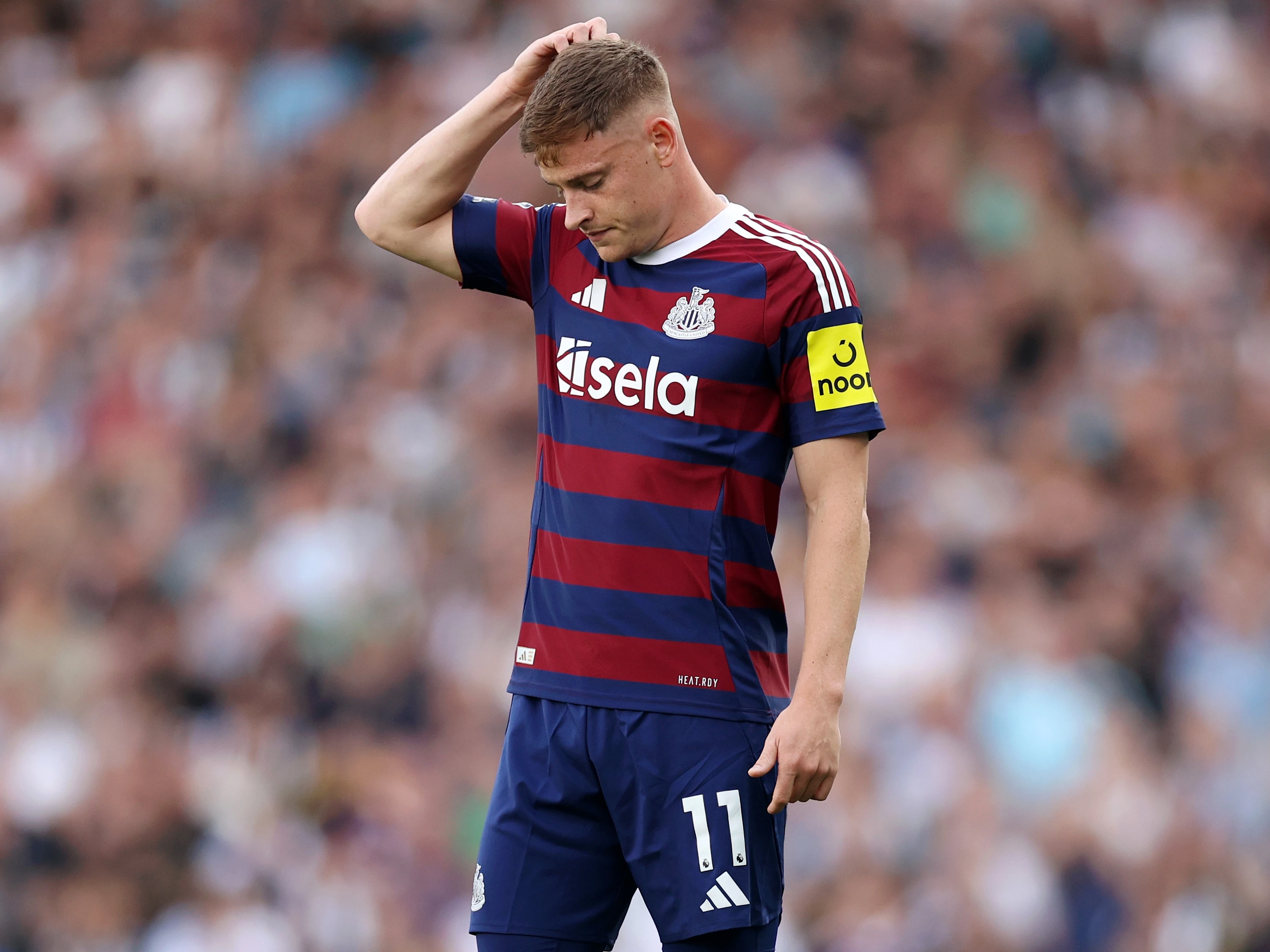 Fulham A match report image
