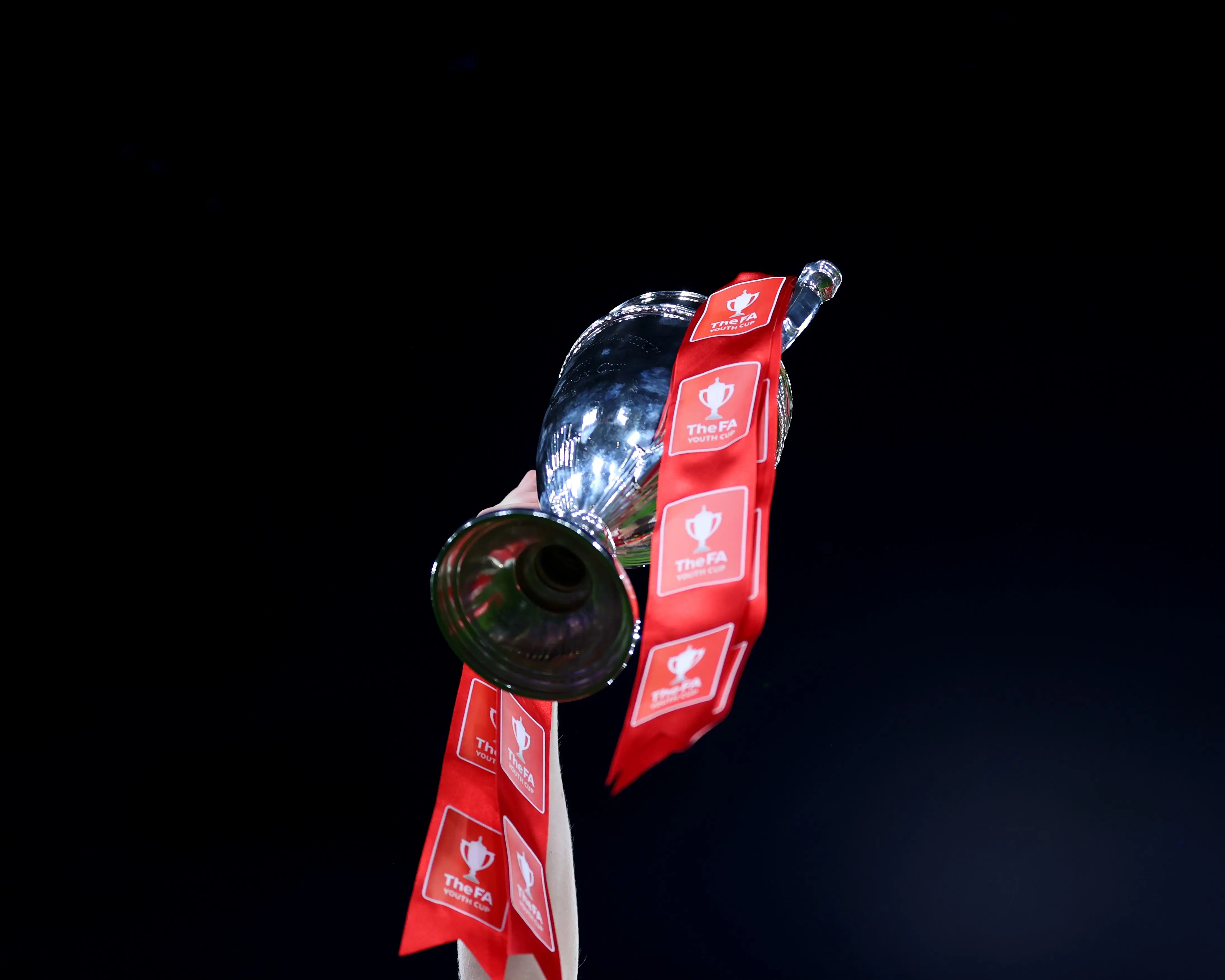 FA Youth Cup trophy image