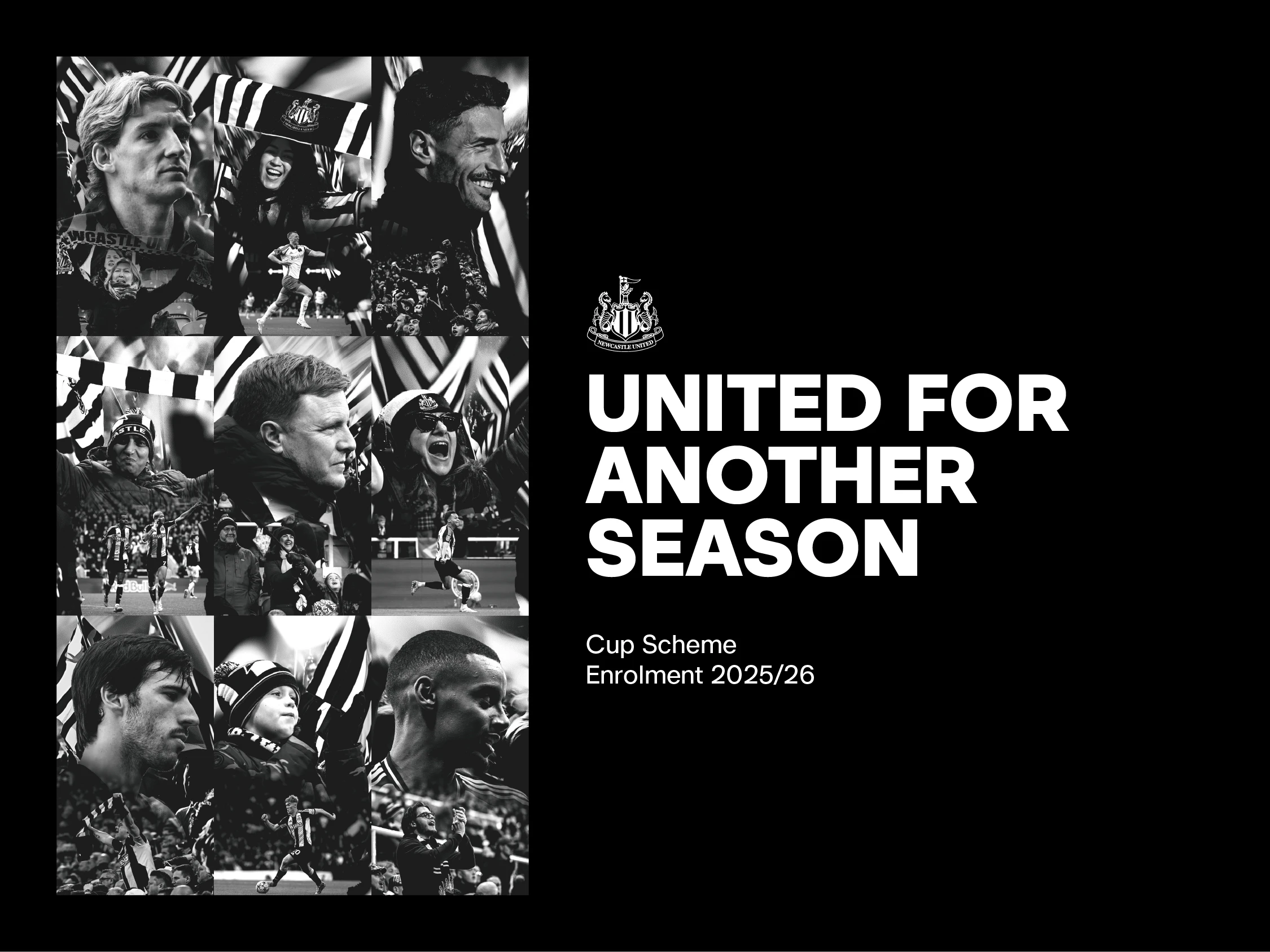 Cup schemes 25/26 header image