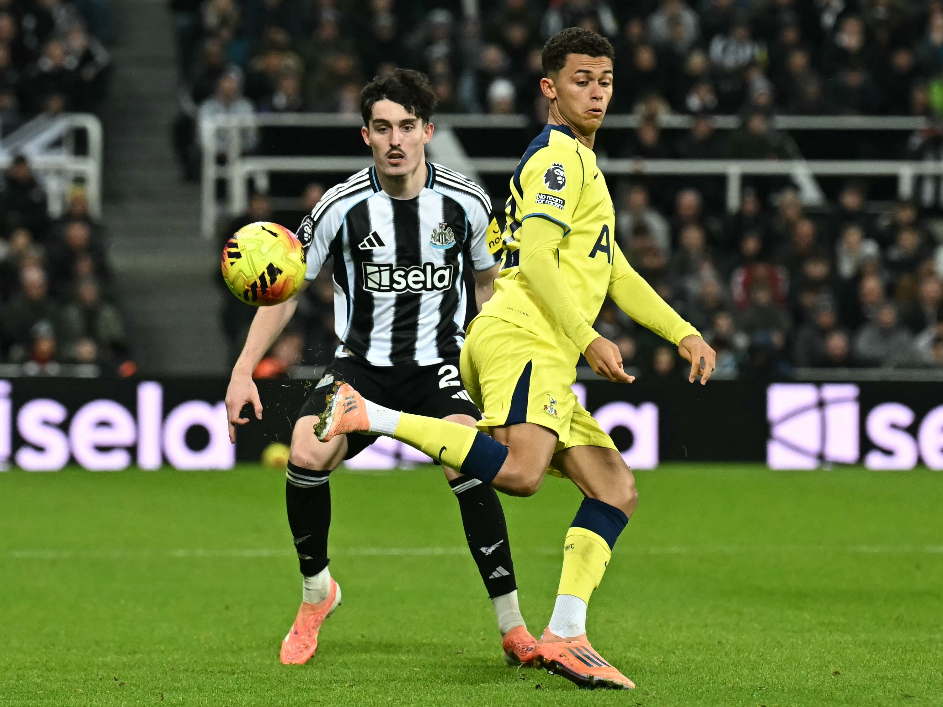 Newcastle United - Home