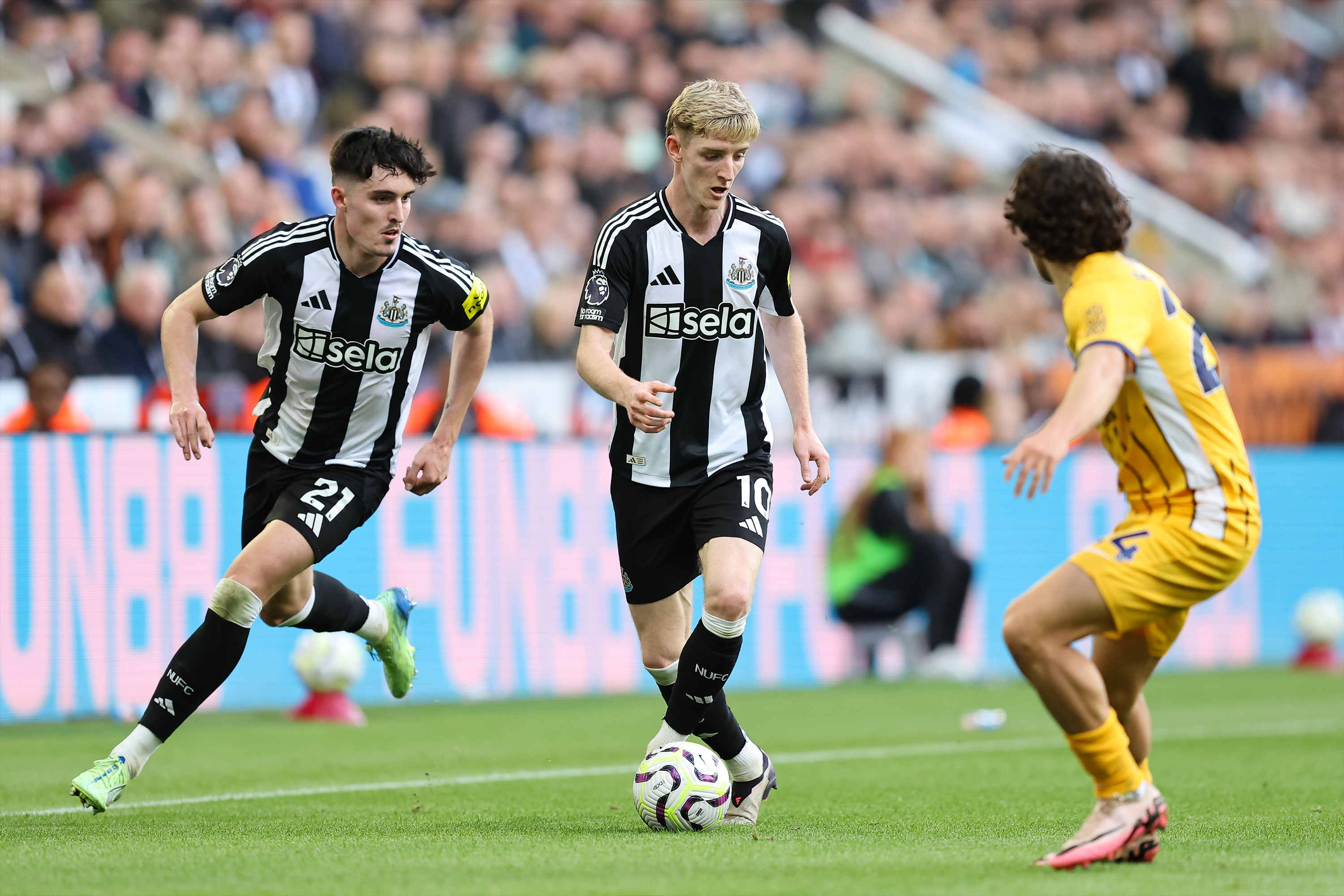 How to watch Brighton A (article image)