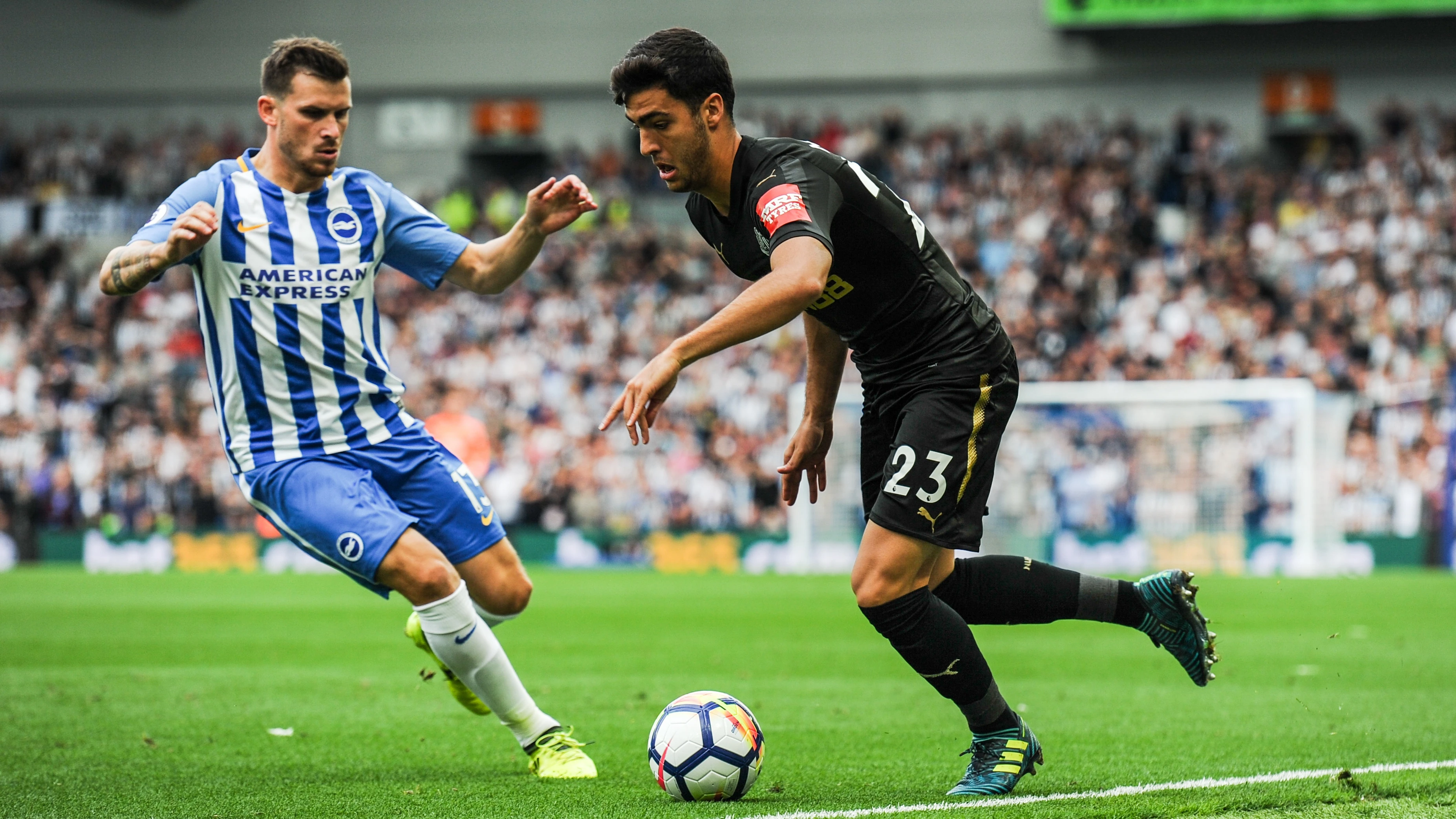 mikel-merino-brighton