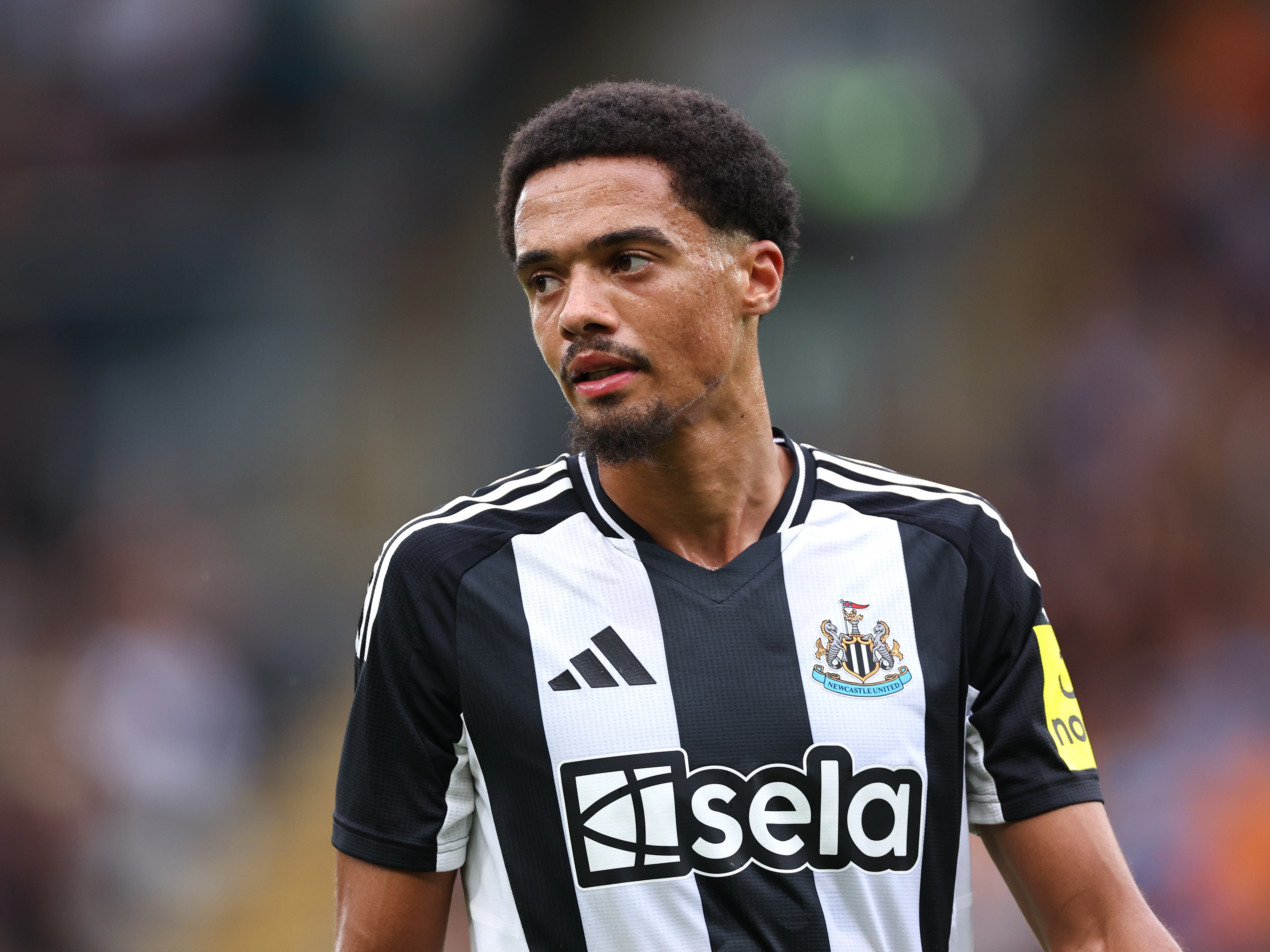 Jamal Lewis joins São Paulo on loan - Newcastle United