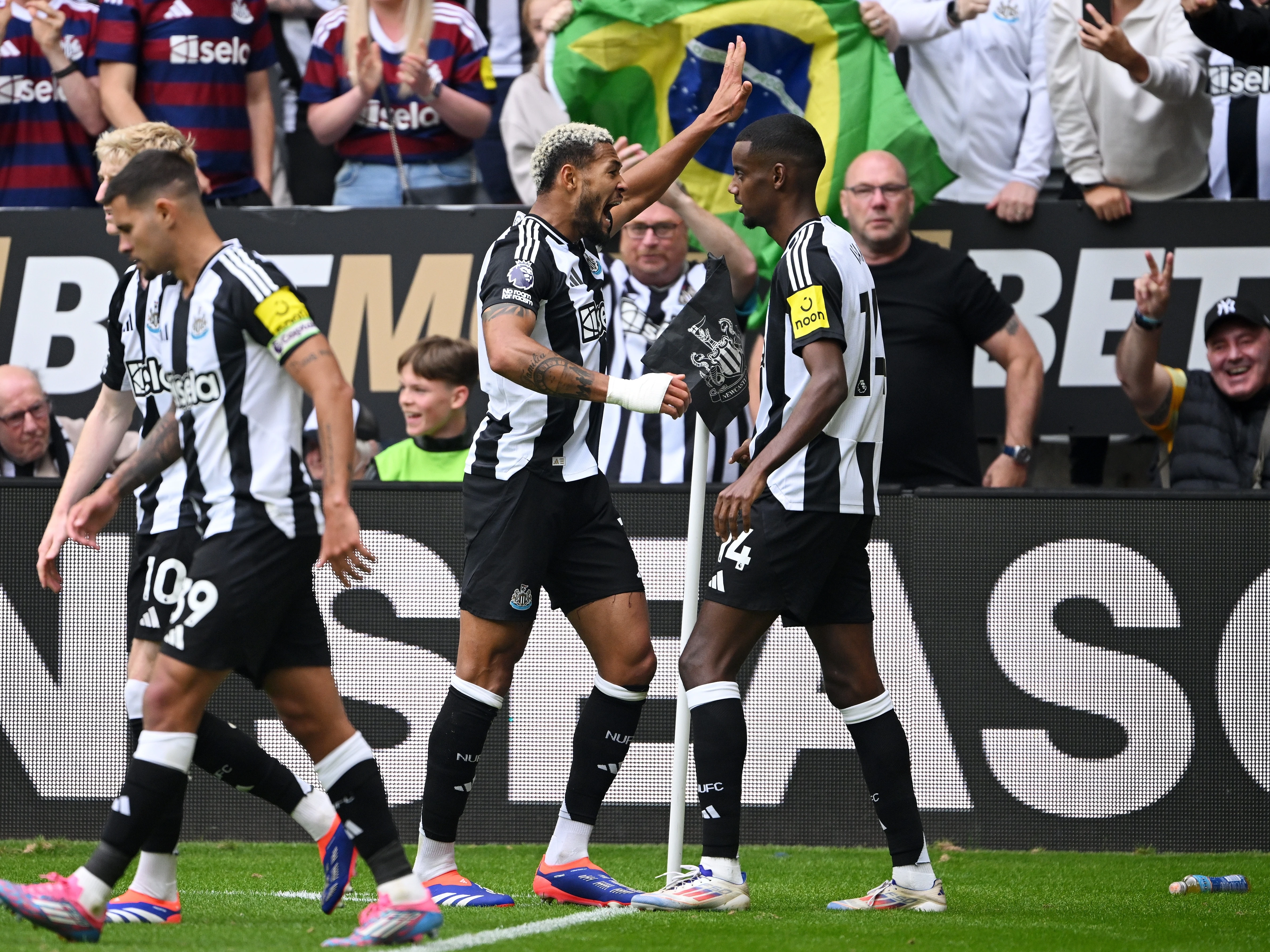 Newcastle United v Southampton match report image