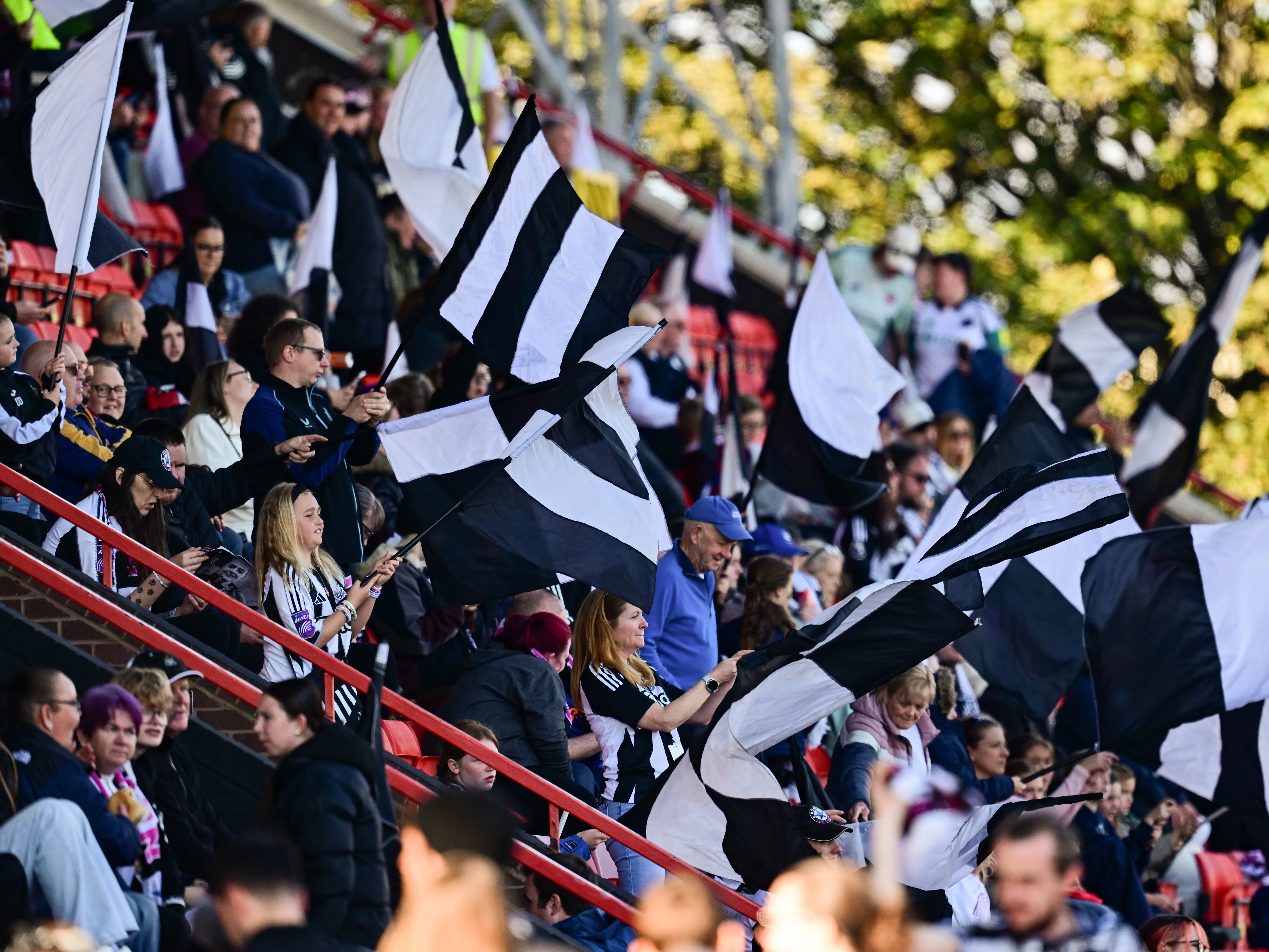 Flags Gateshead image