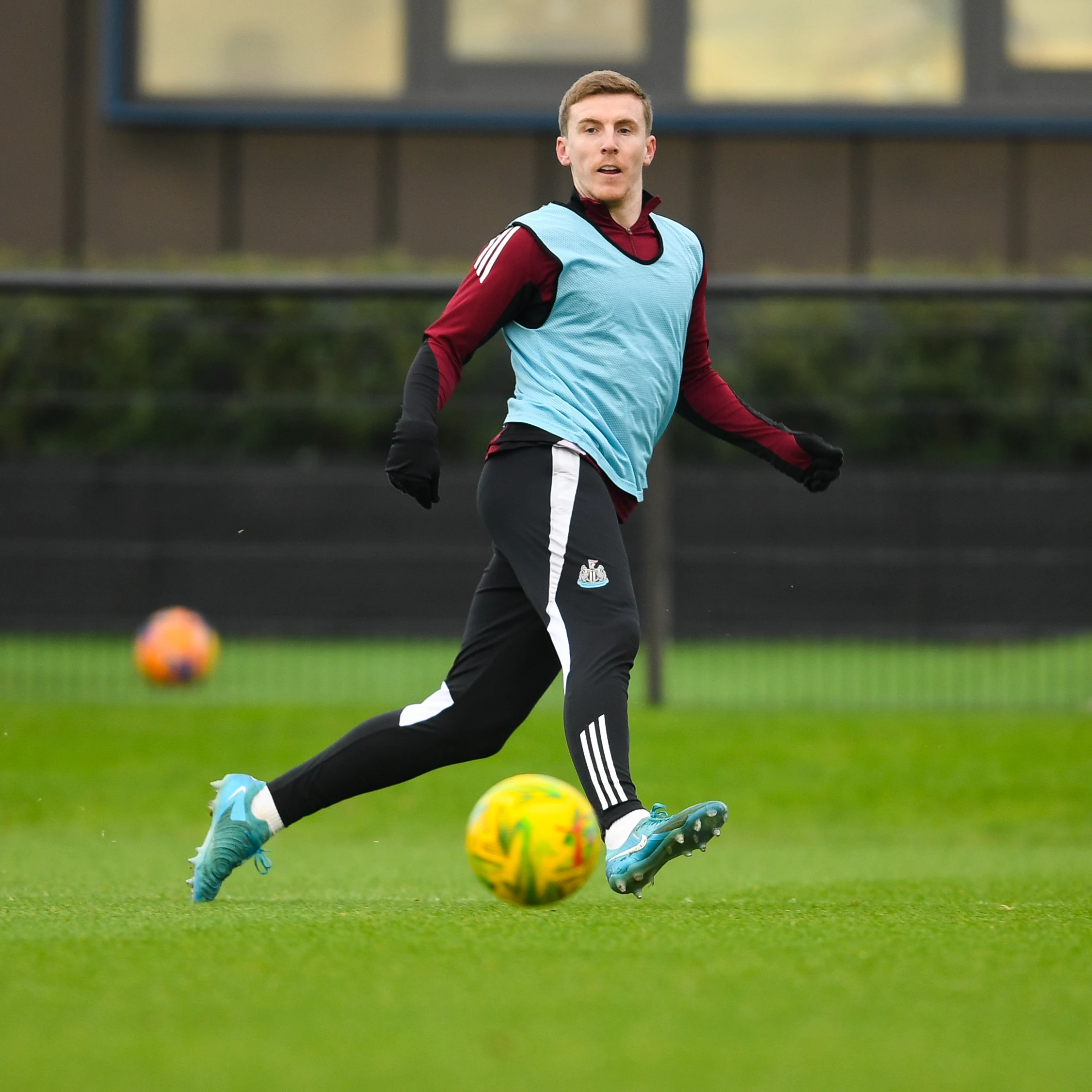 Matt Targett 9