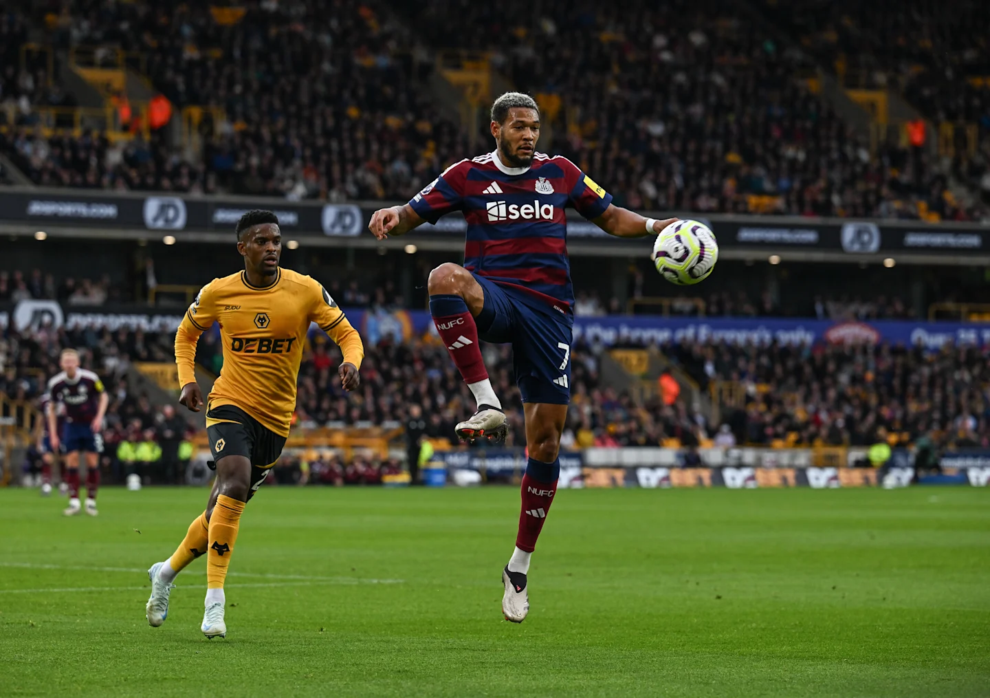 Wolves win in pictures - Newcastle United