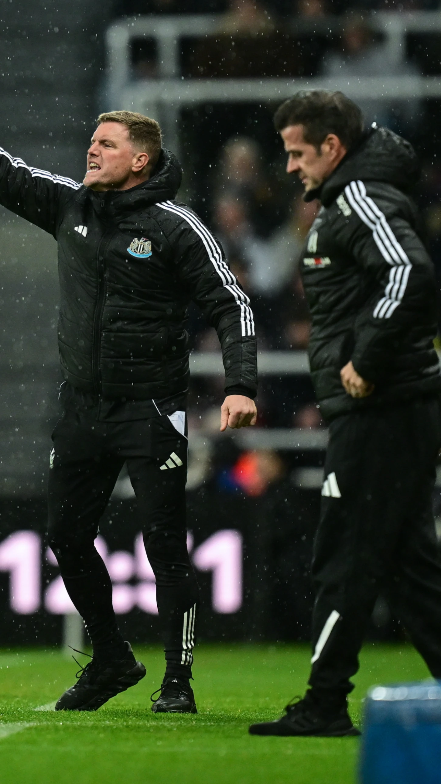 ST1 1531-2887467 Image