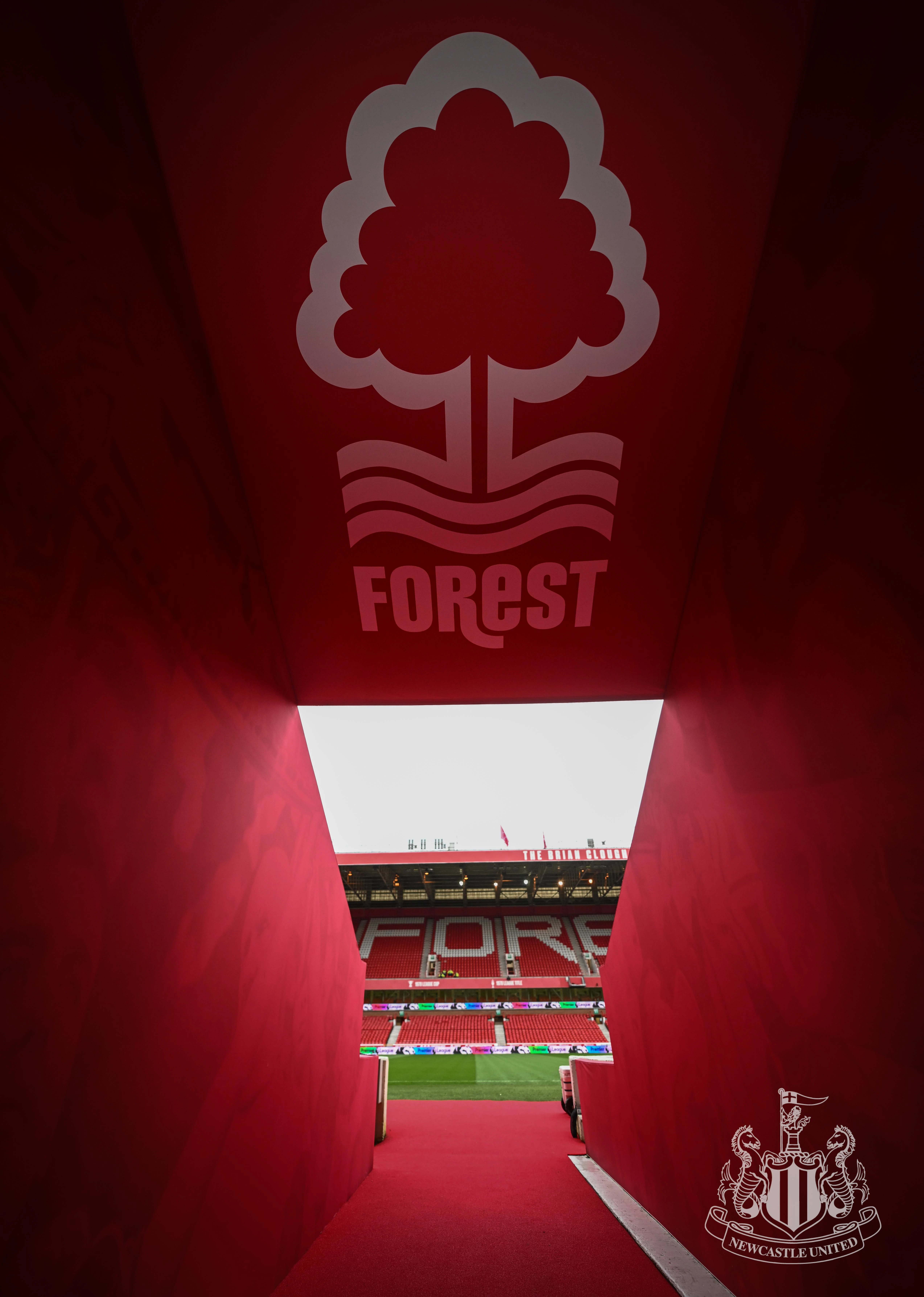 forest0001c