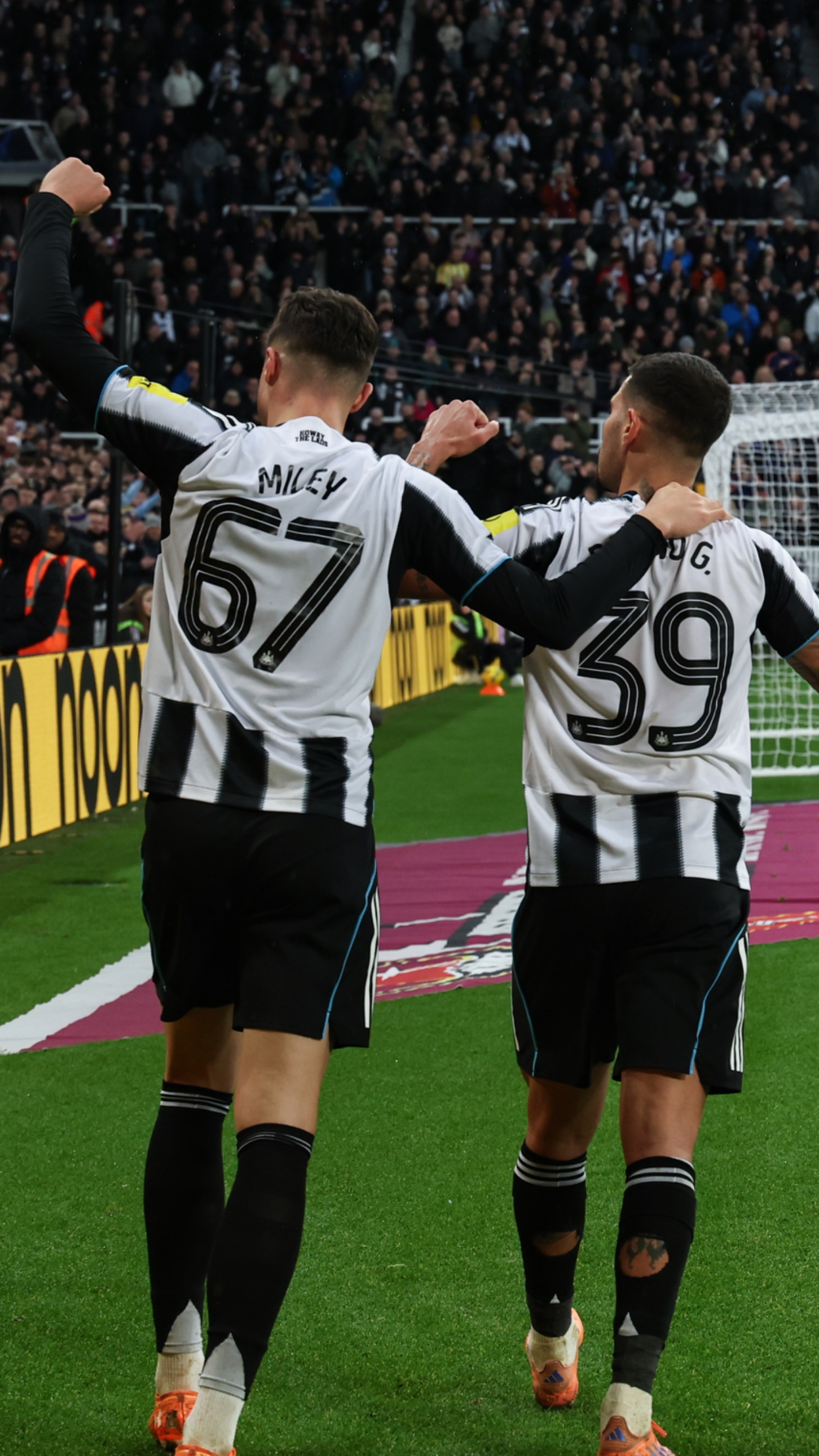 Newcastle United - Home