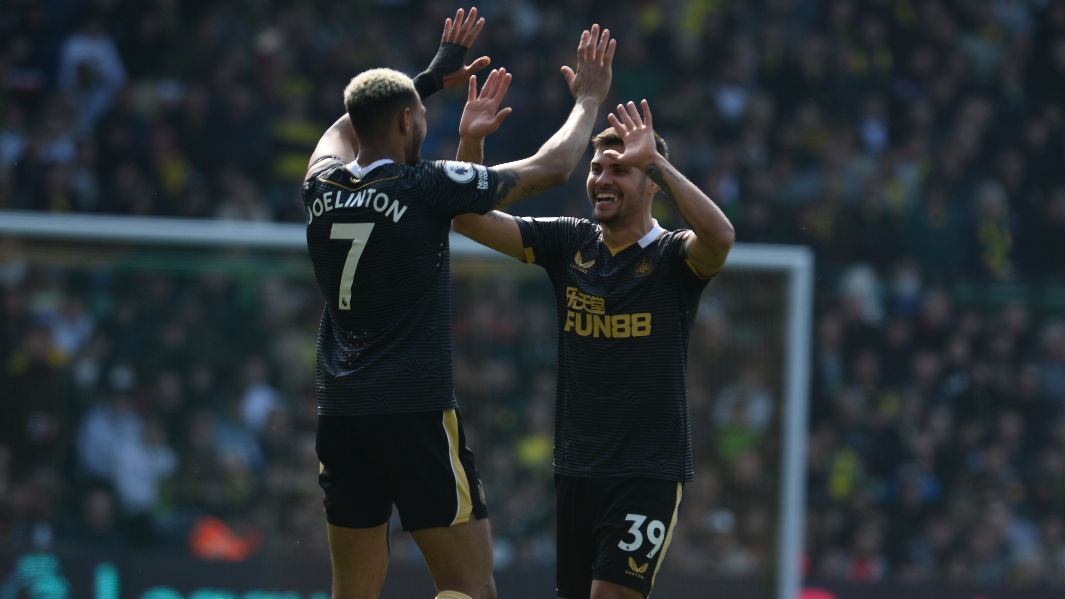 Newcastle United 1 Norwich City 1 - Newcastle United