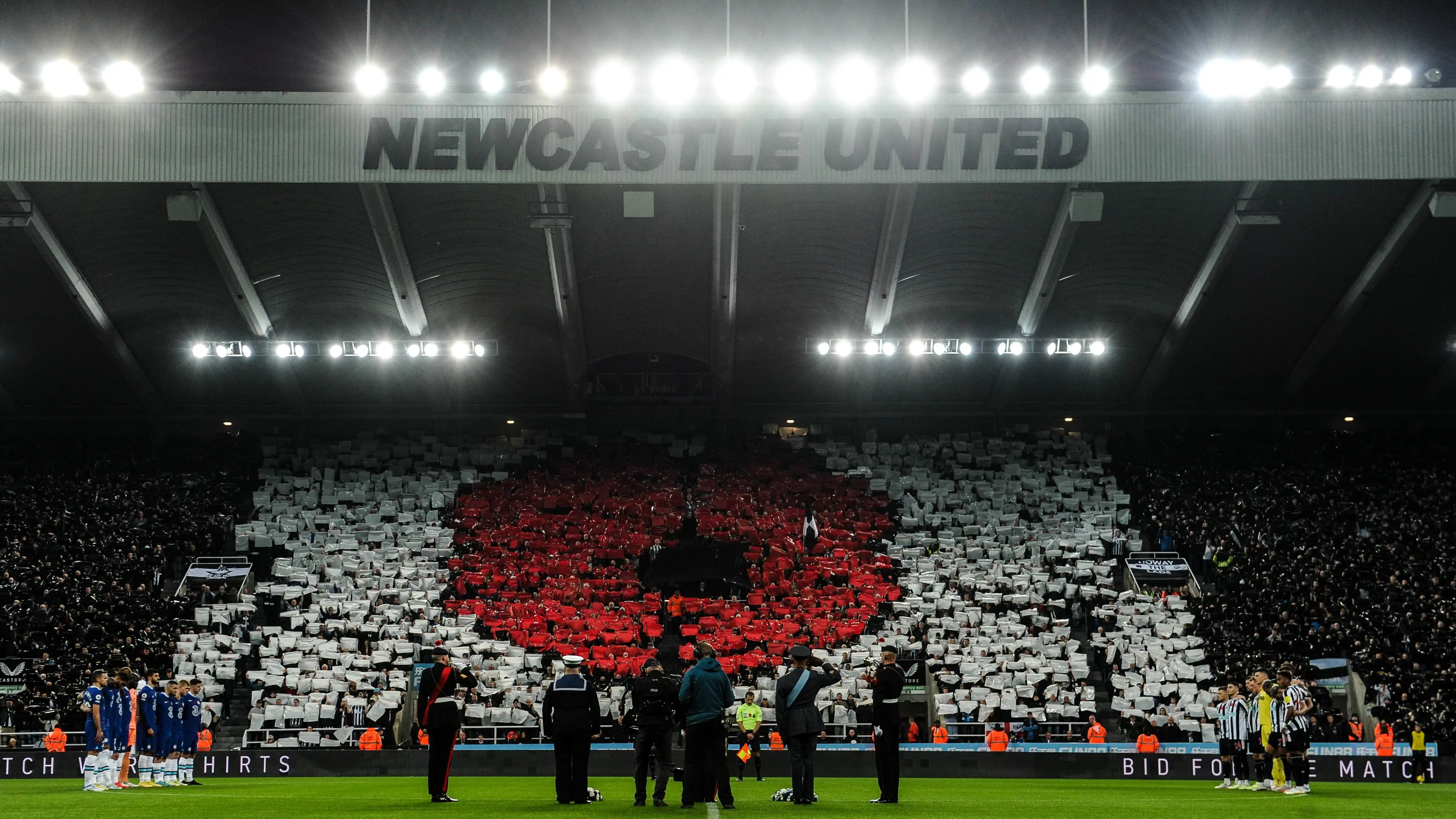 poppy-display-chelsea