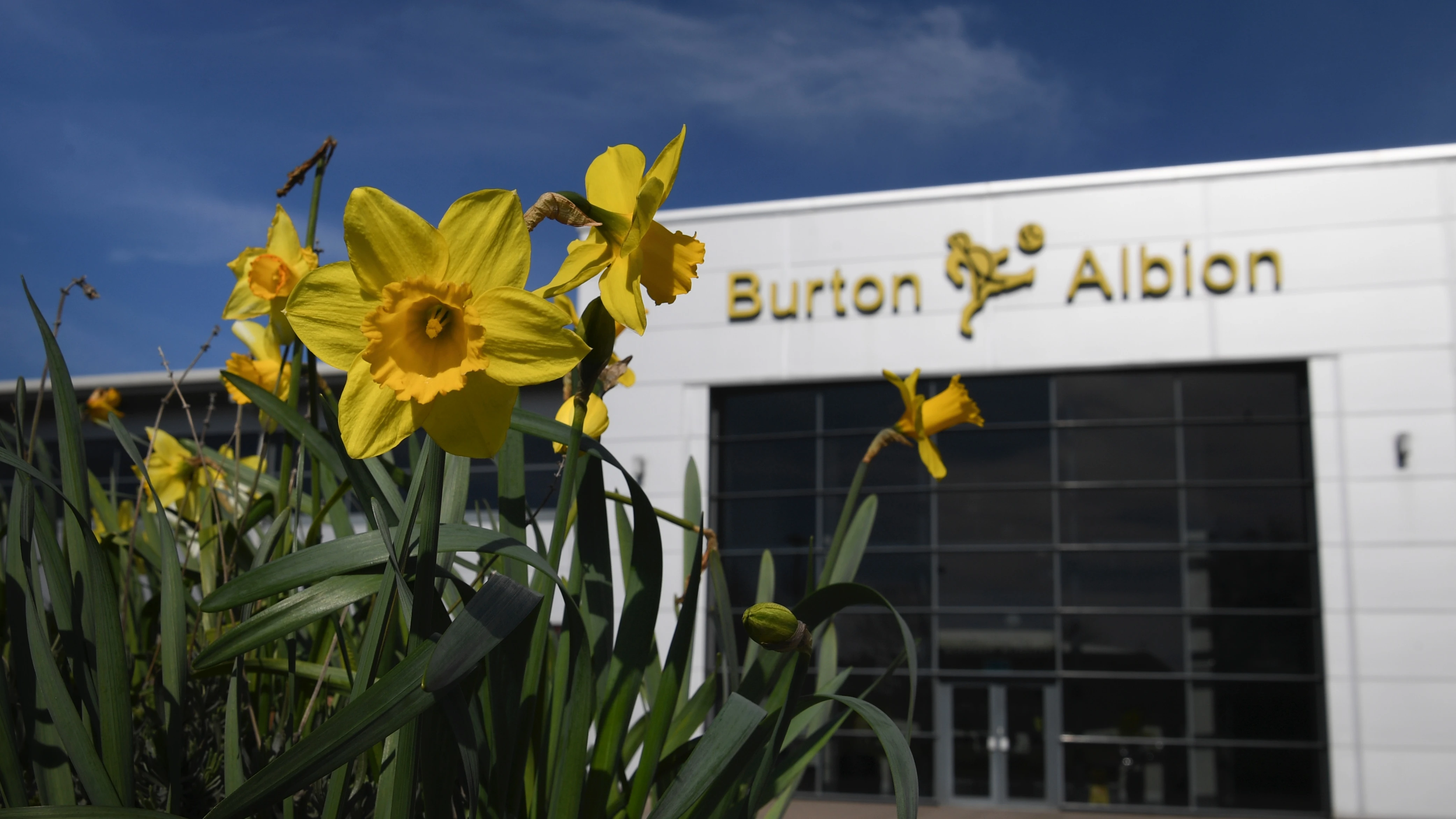 burton-albion-stadium