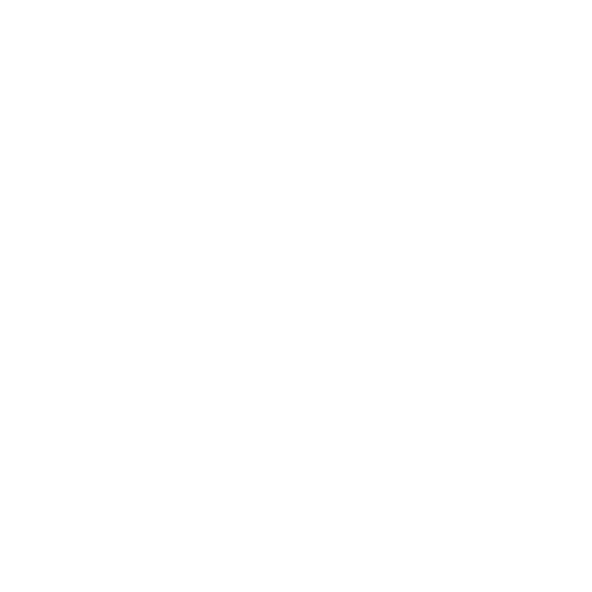 Club Crest - Newcastle United FC Crest ( inverted )