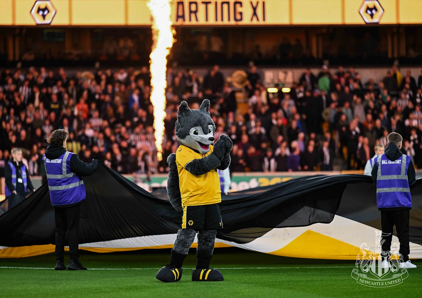 Wolves game in pictures - Newcastle United