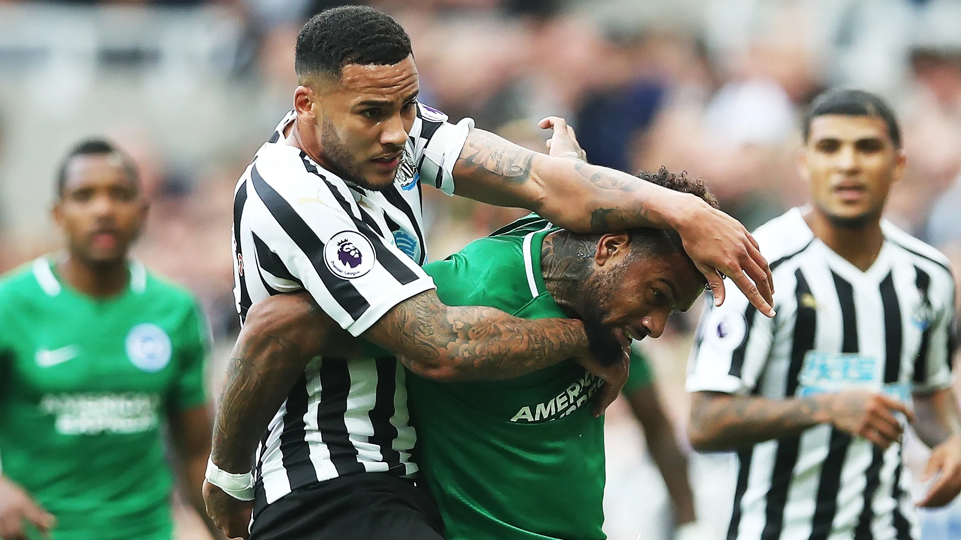 jamaal-lascelles-brighton-header