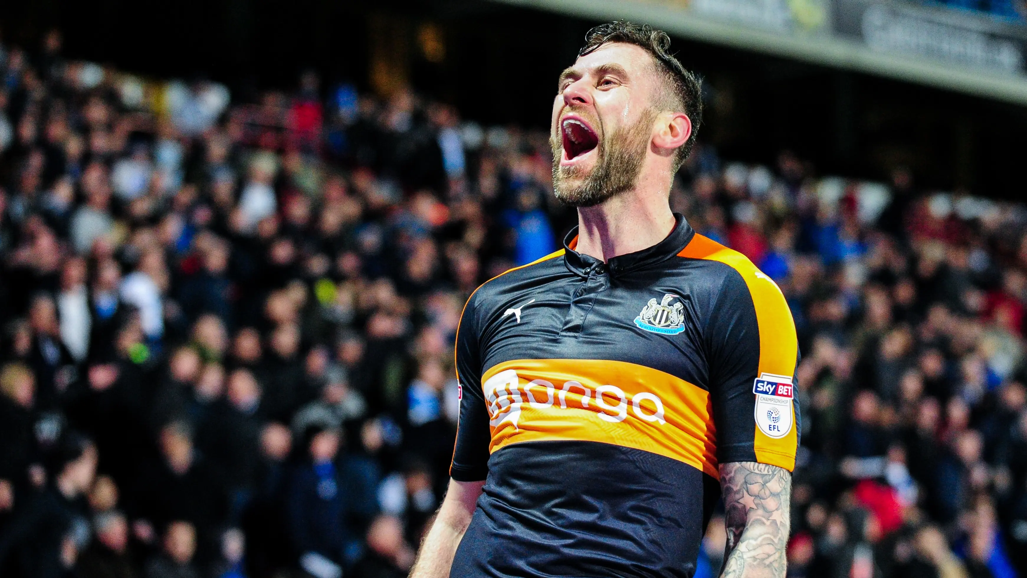 daryl-murphy-goal