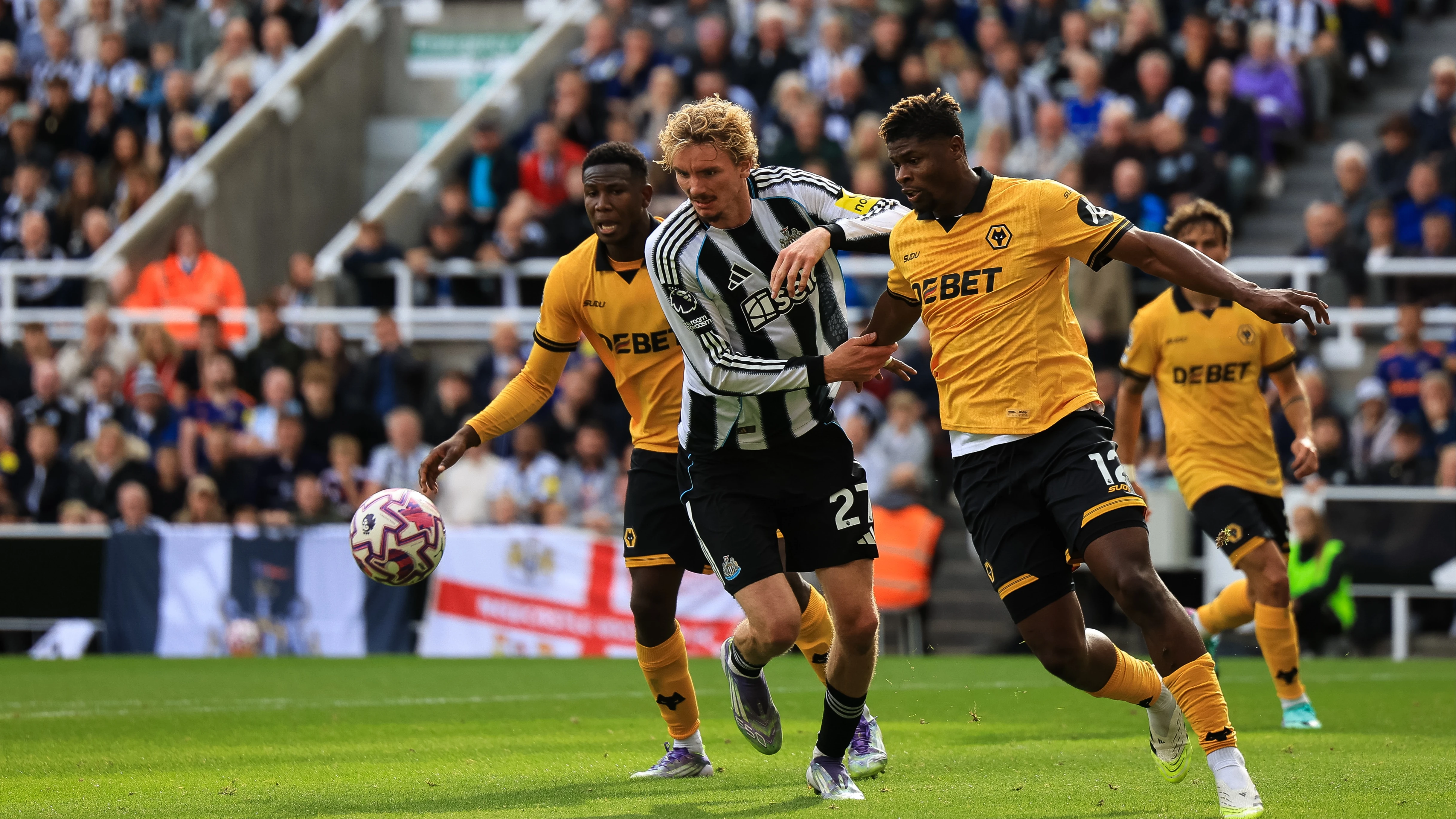 pre-Wolves quiz article image