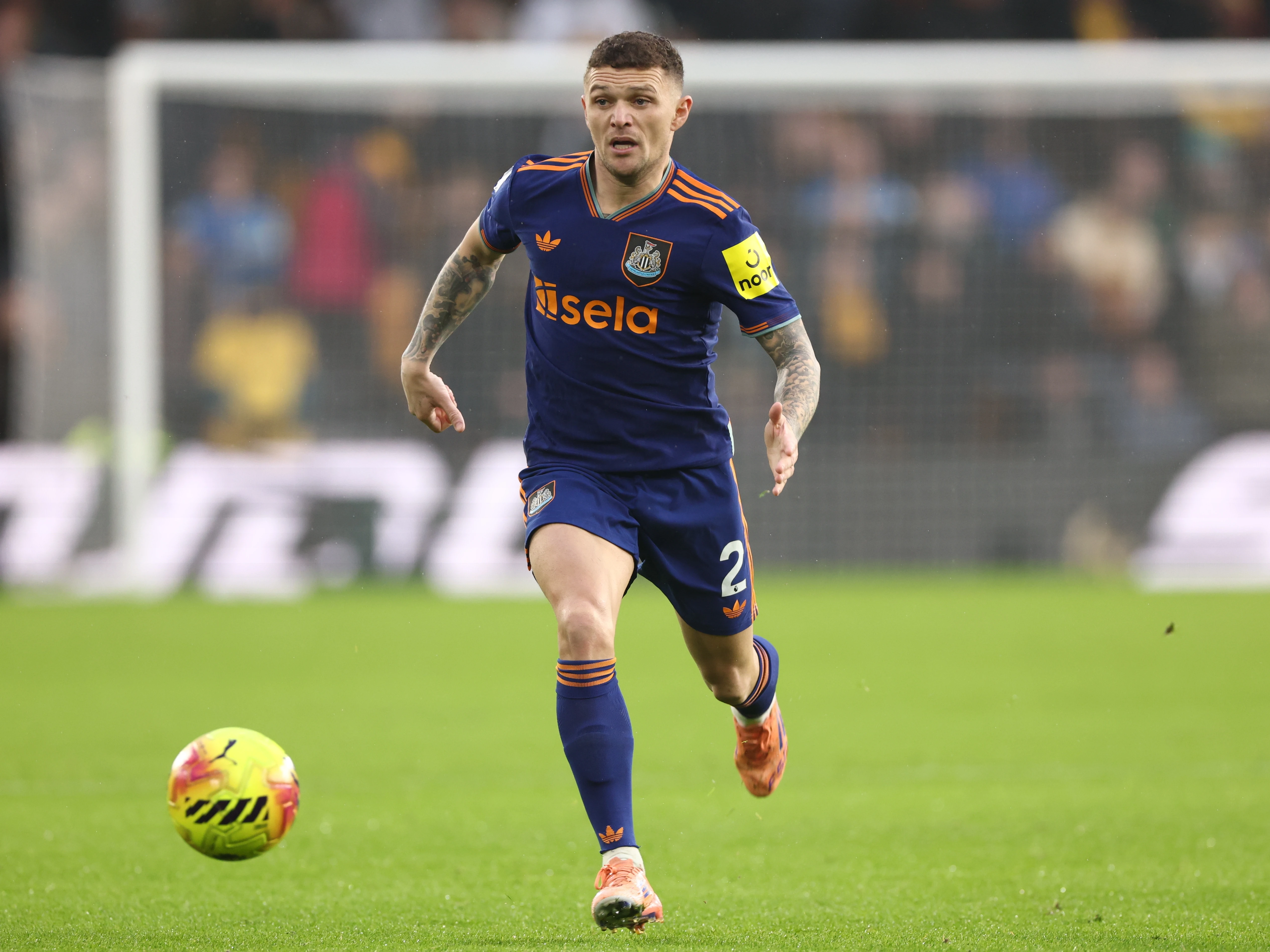 Wolves A report 25-26 image