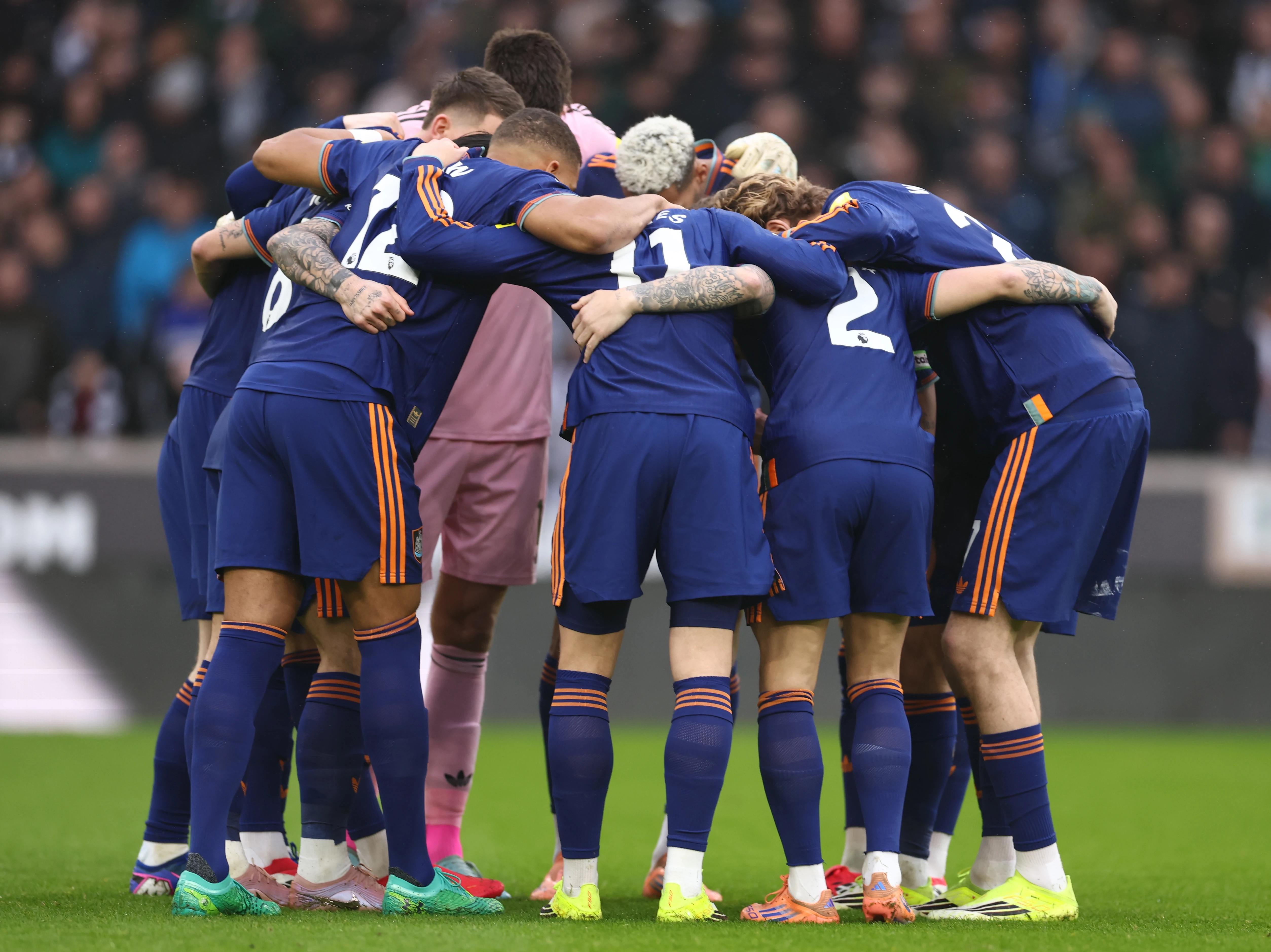 Wolves A report 25-26 image