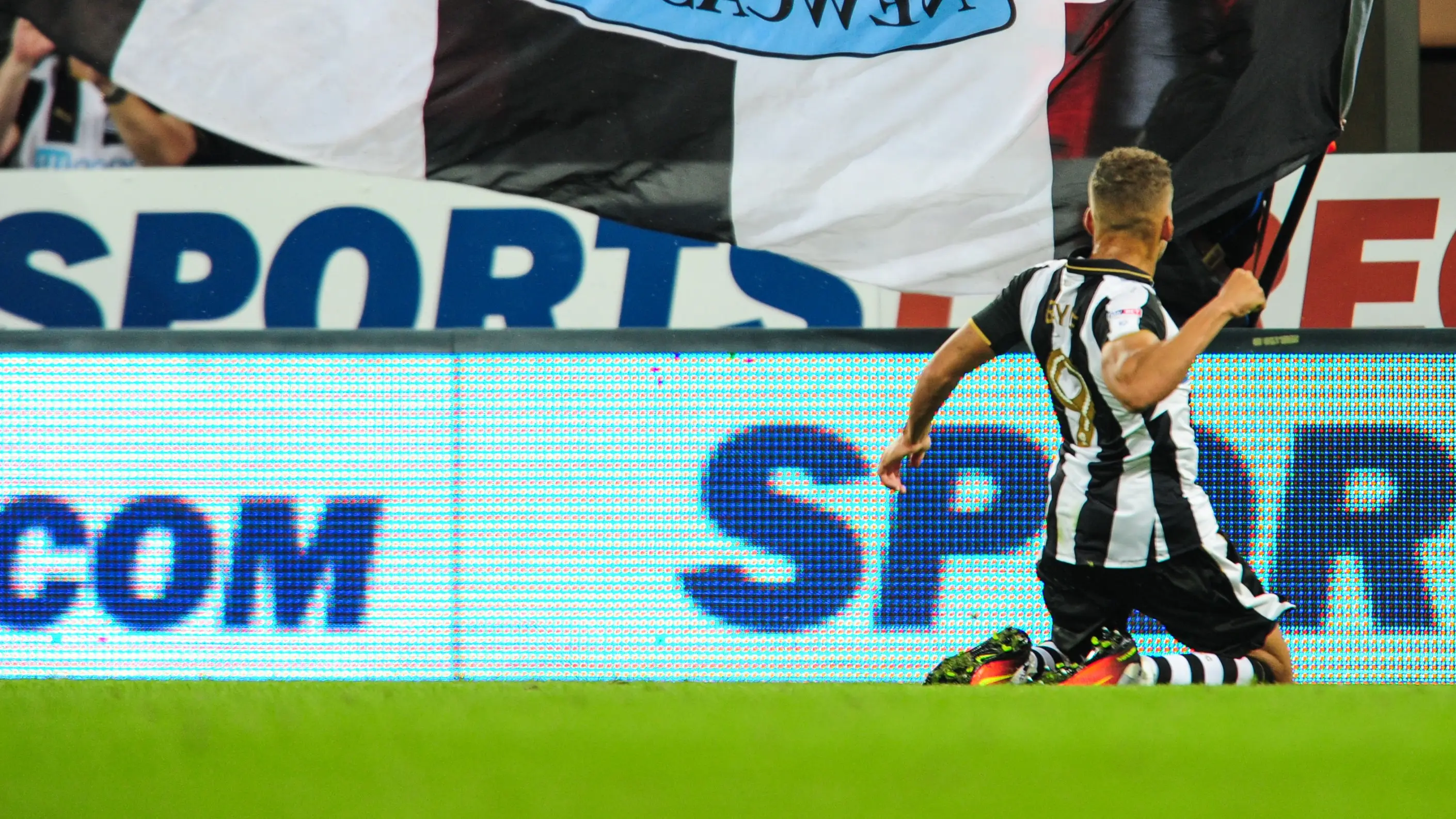 dwight-gayle-reading-celebration