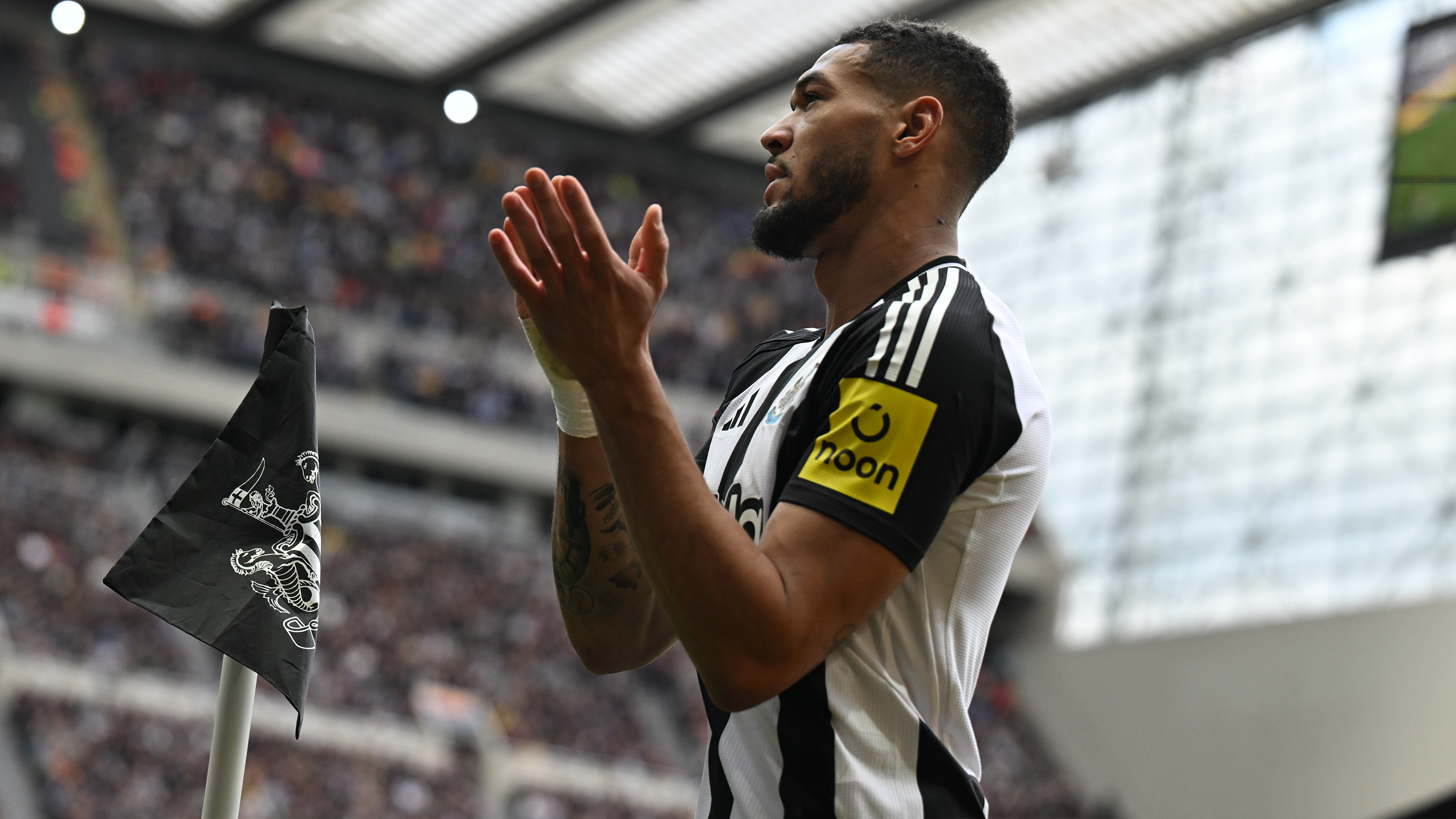 Newcastle United v Brighton report web hero 