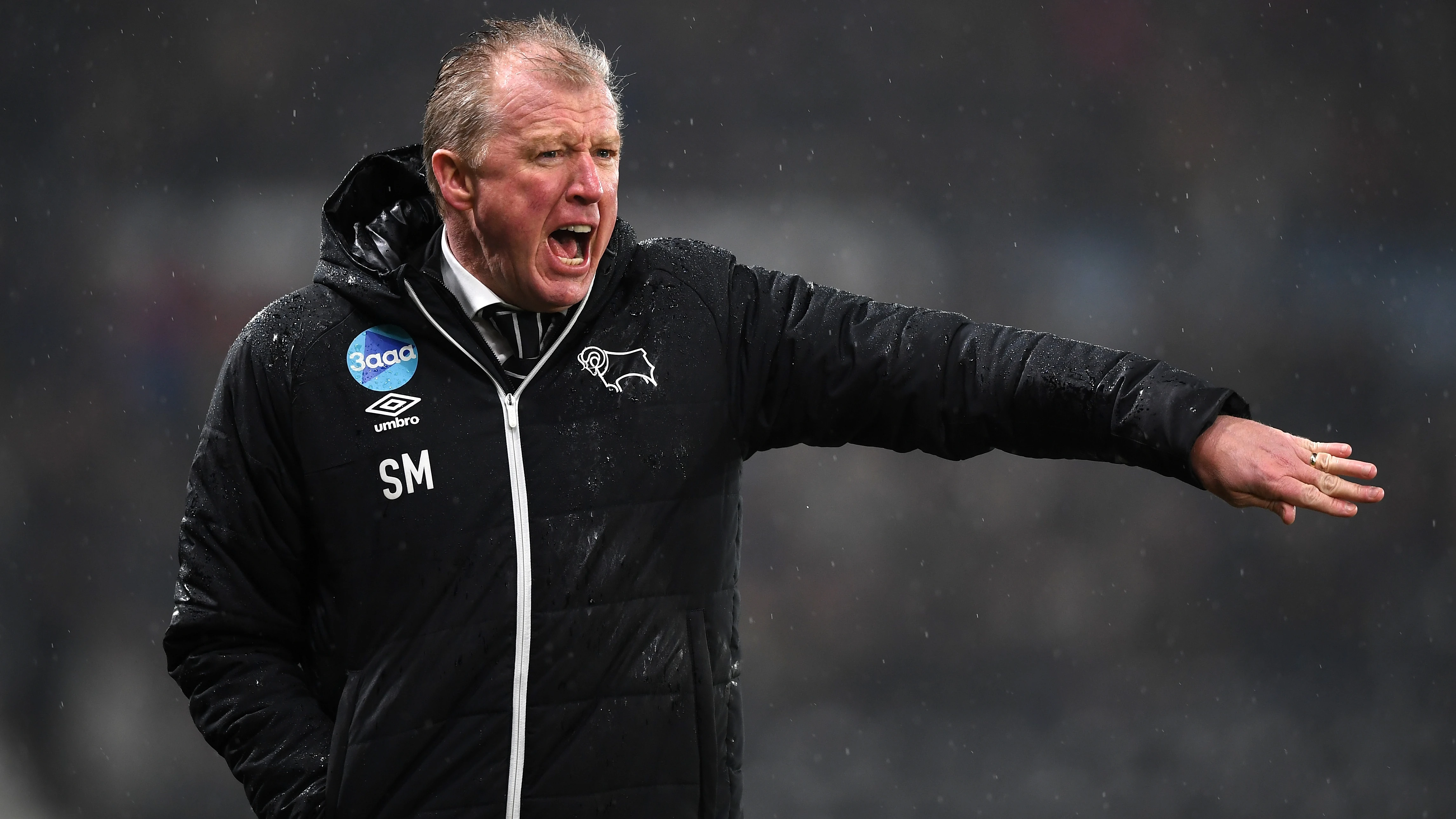 steve-mcclaren