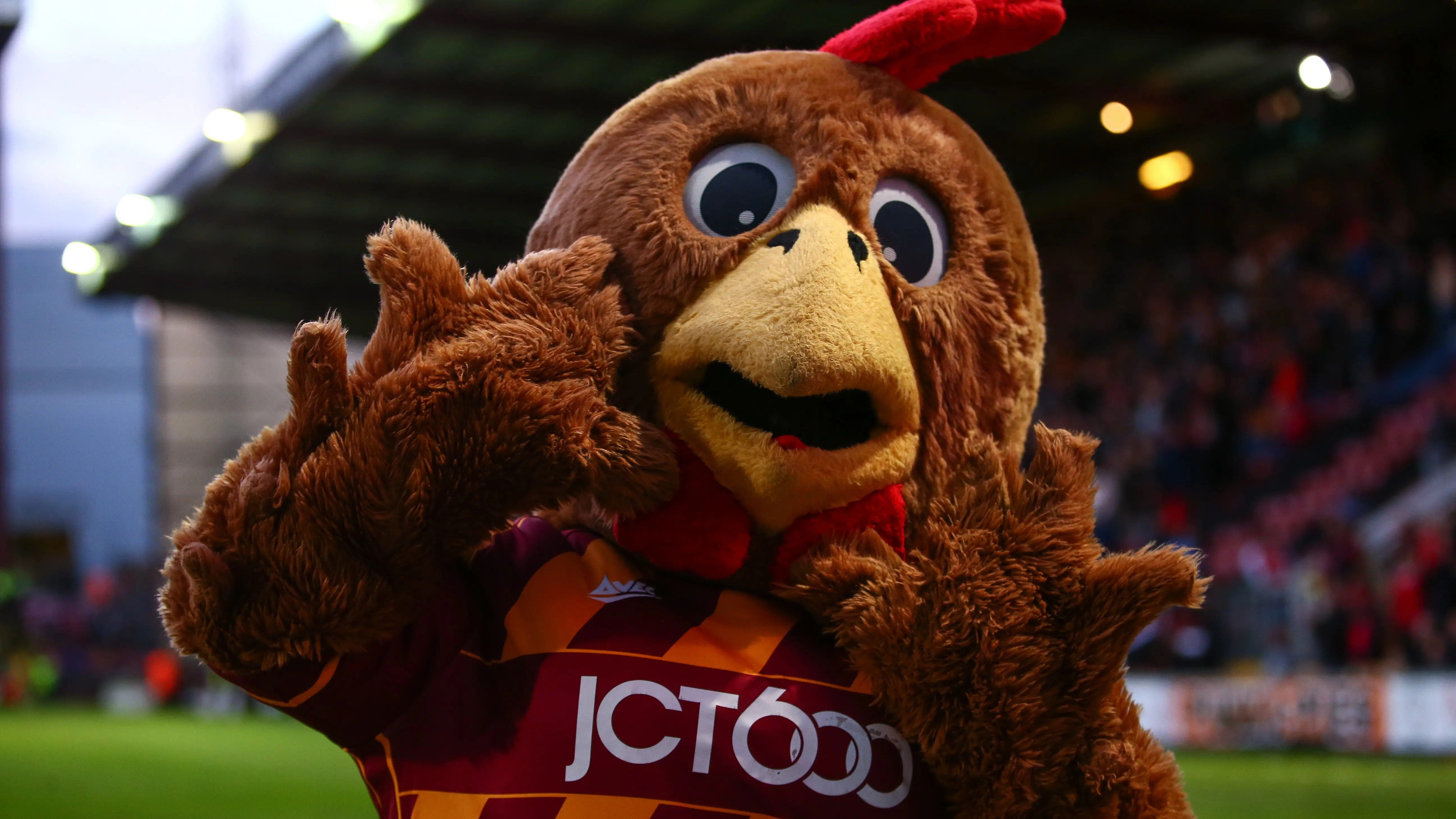 bradford-mascot