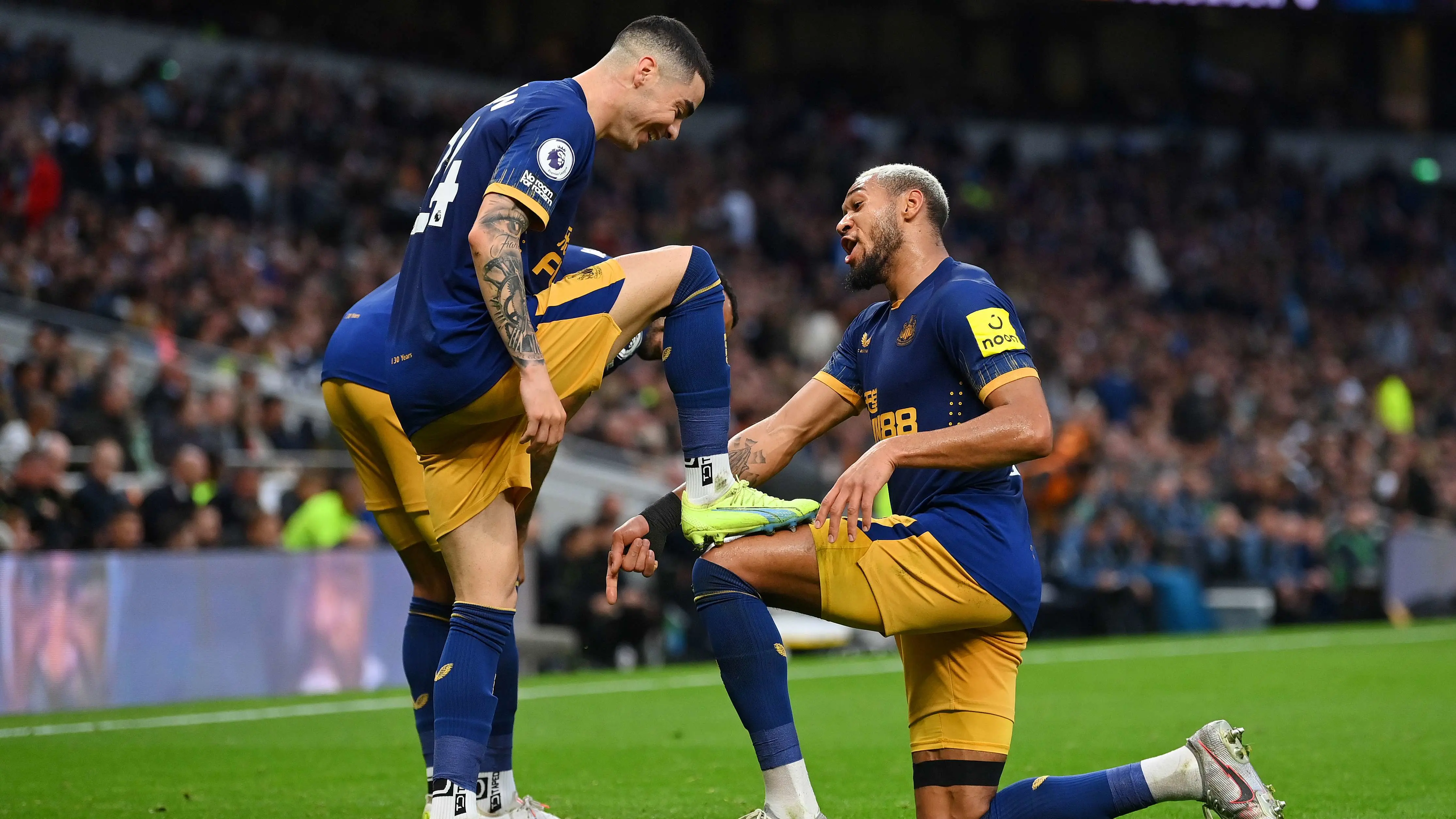 miguel-almiron-joelinton-celebrate-tottenham