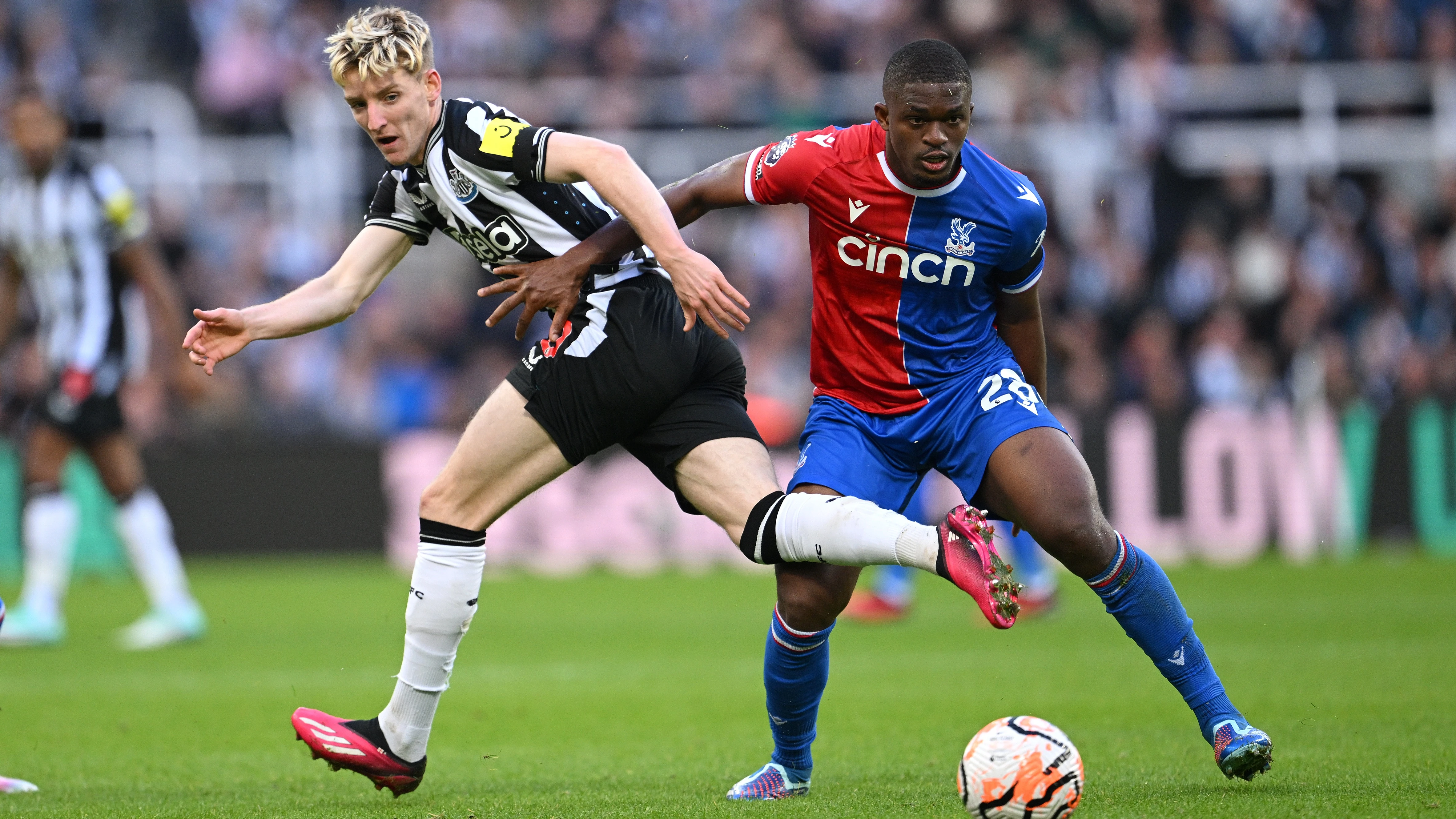 anthony-gordon-crystal-palace