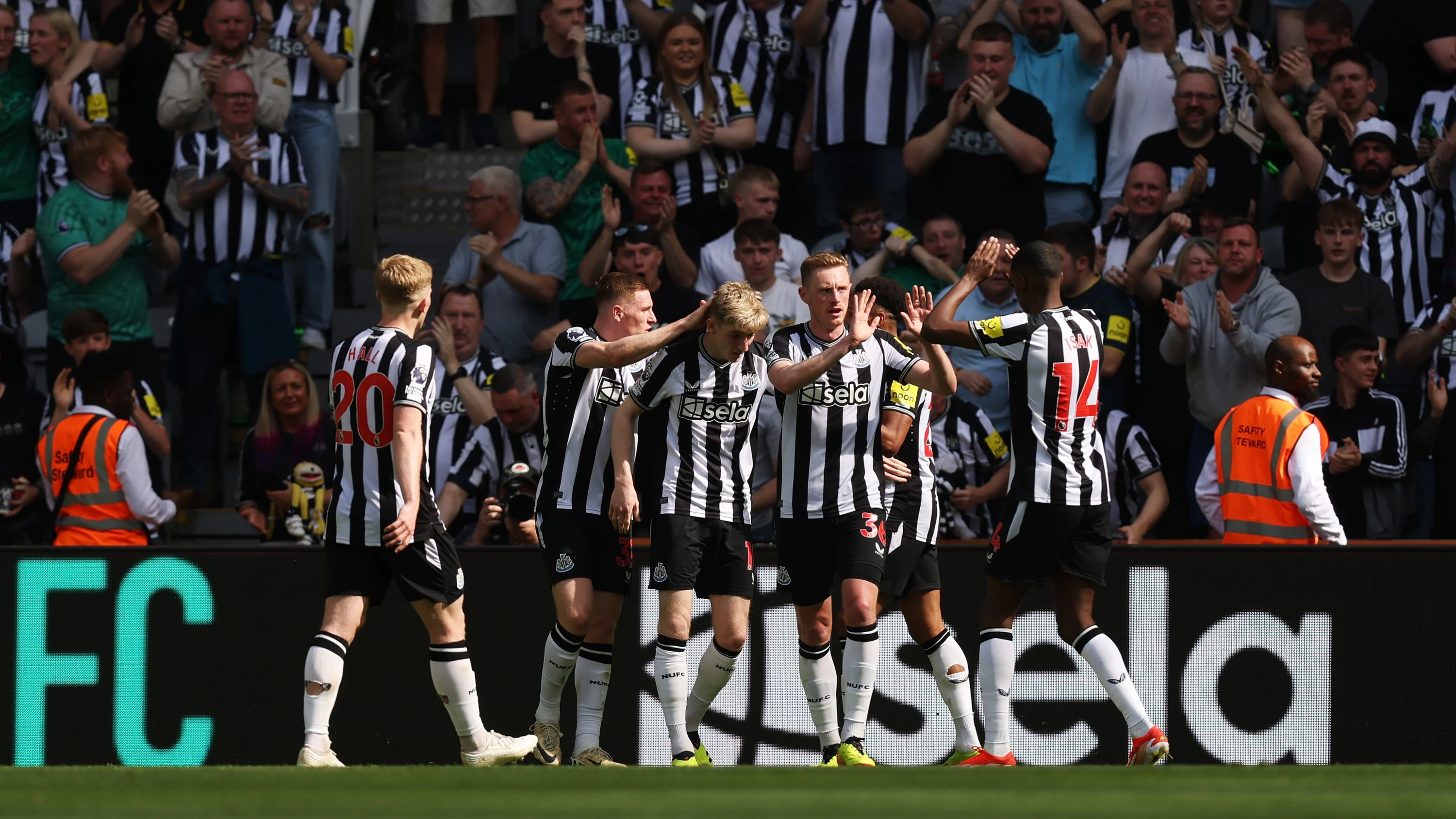 Sean Longstaff Brighton